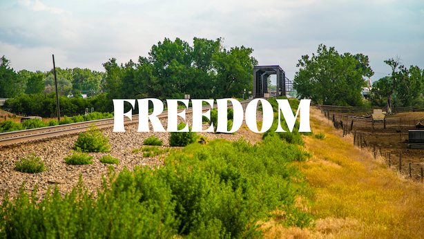 Freedom