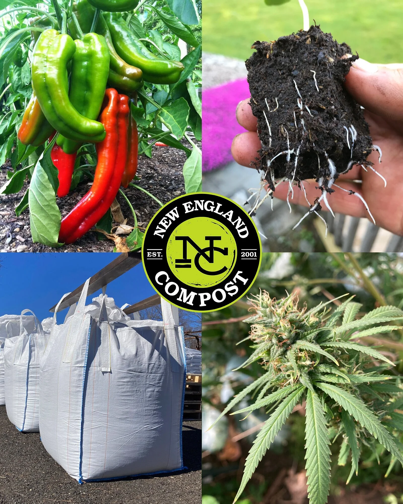 Premium Craft Compost