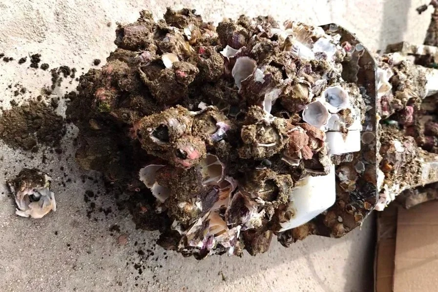 Underwater equipment constantly "Going on Strike"? This anti-biofouling solution solves the industry's pain points.