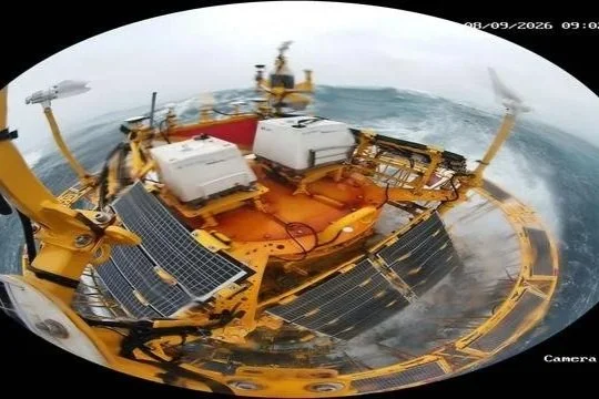 Typhoon Dolphin: Another Severe Typhoon Test Along a Similar Track