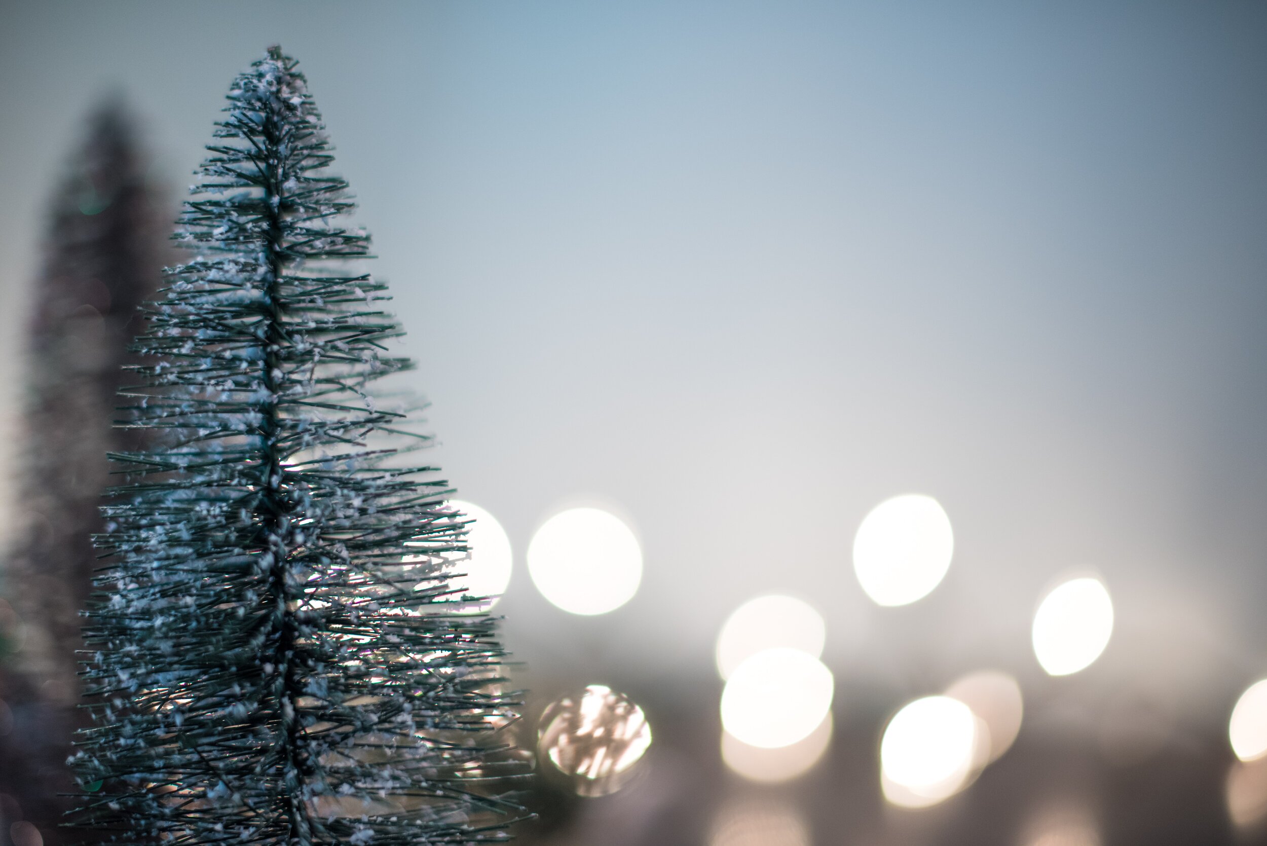Making the Holidays Merry & Bright for Seniors