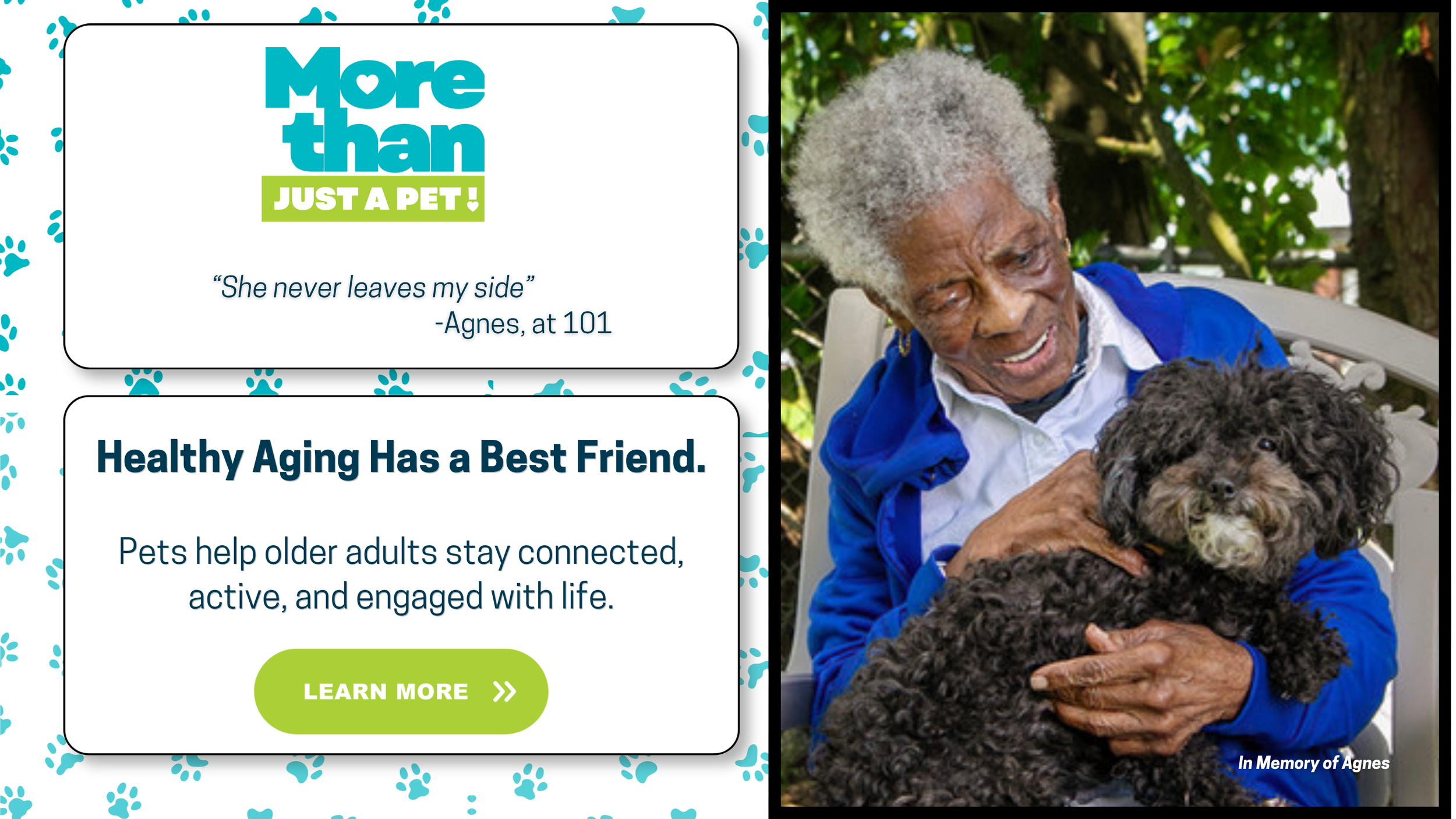 Skinnie Magazine Ad (7.5 x 4.75 in) (1).png