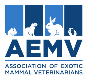 AEMV_LOGO_2018_Stacked_3_8-01.png