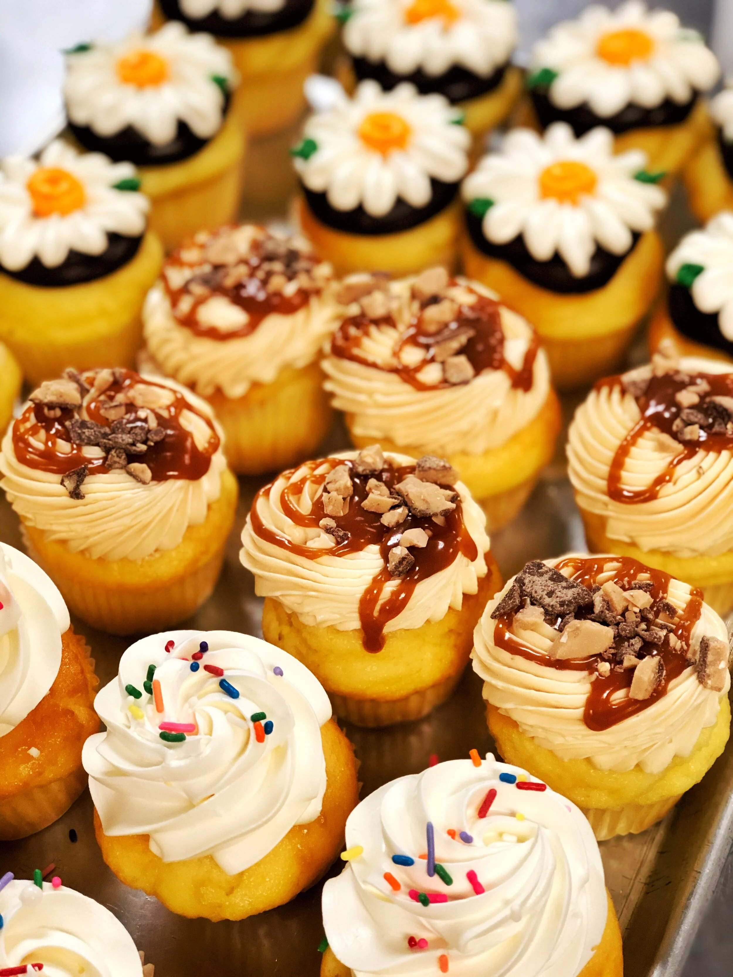 CUPCAKES copy 4.jpg