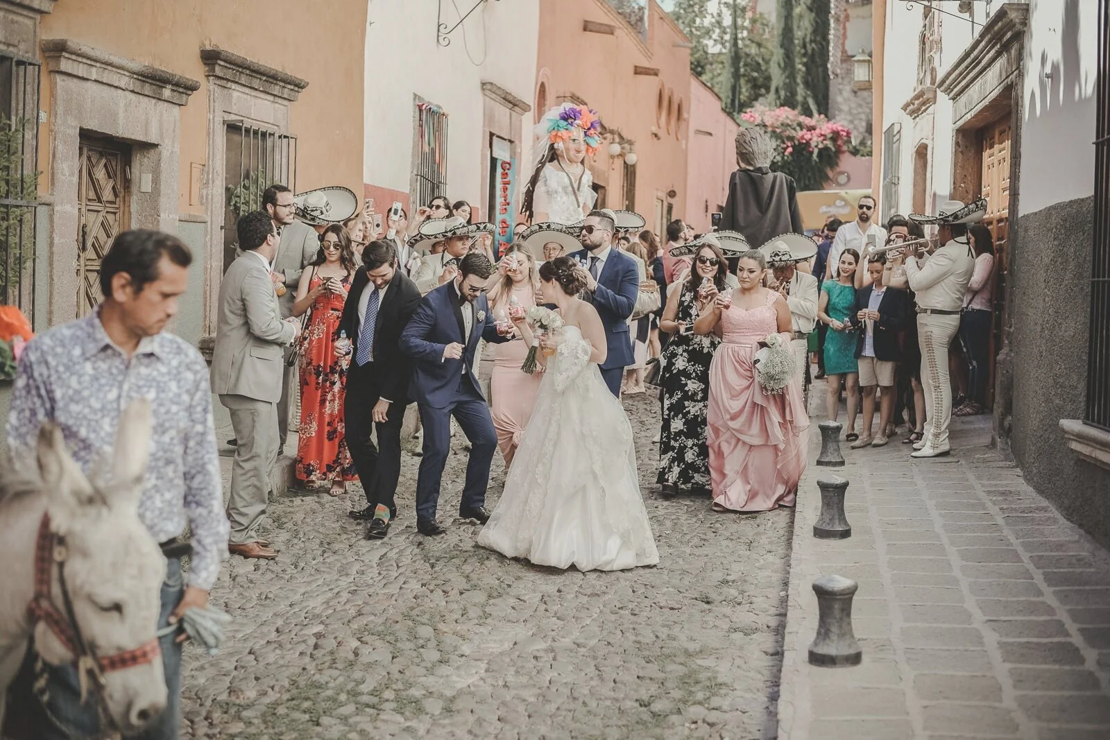 DC-sma-lr- (132 de 2107)-ASE.jpg