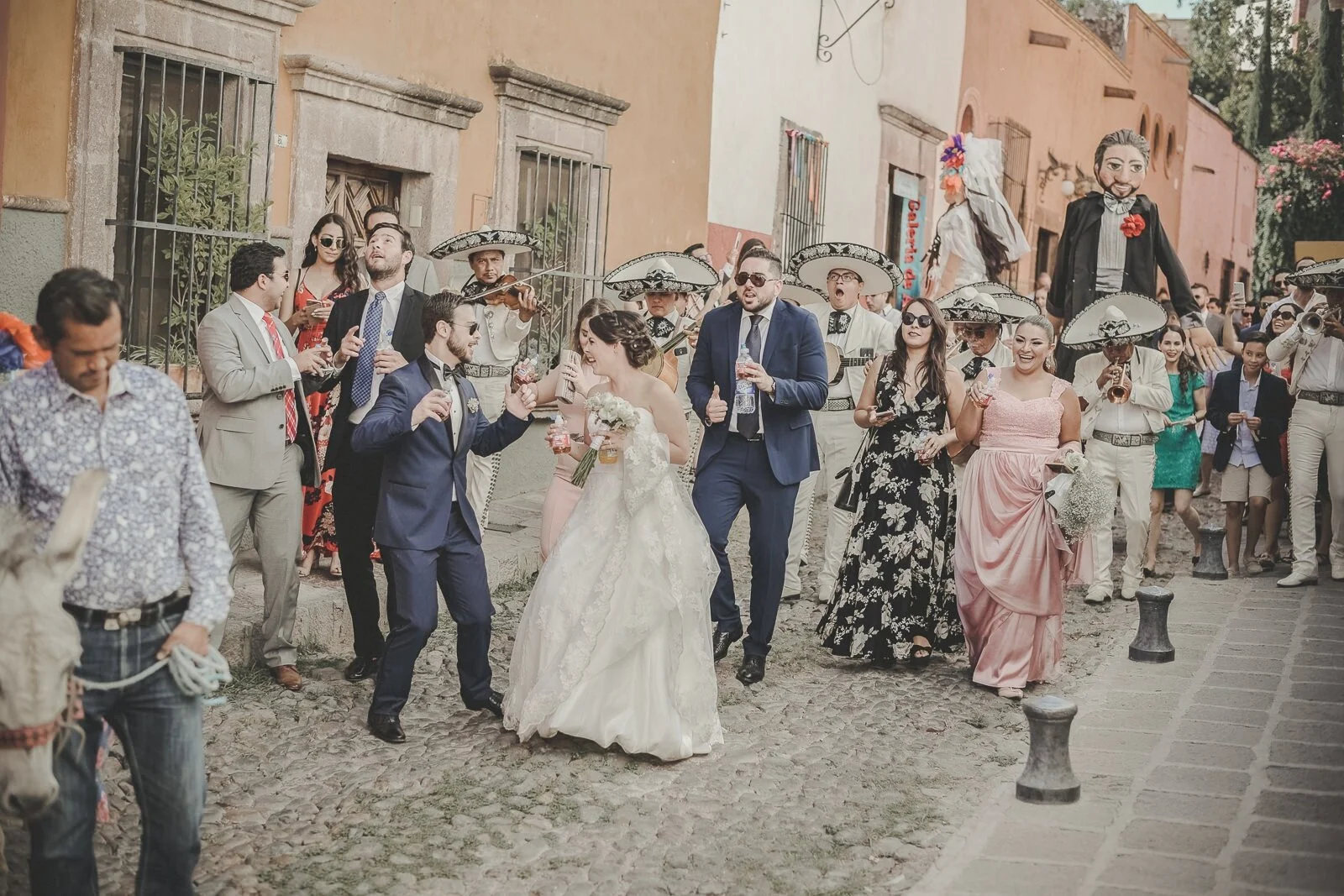 DC-sma-lr- (138 de 2107)-ASE.jpg