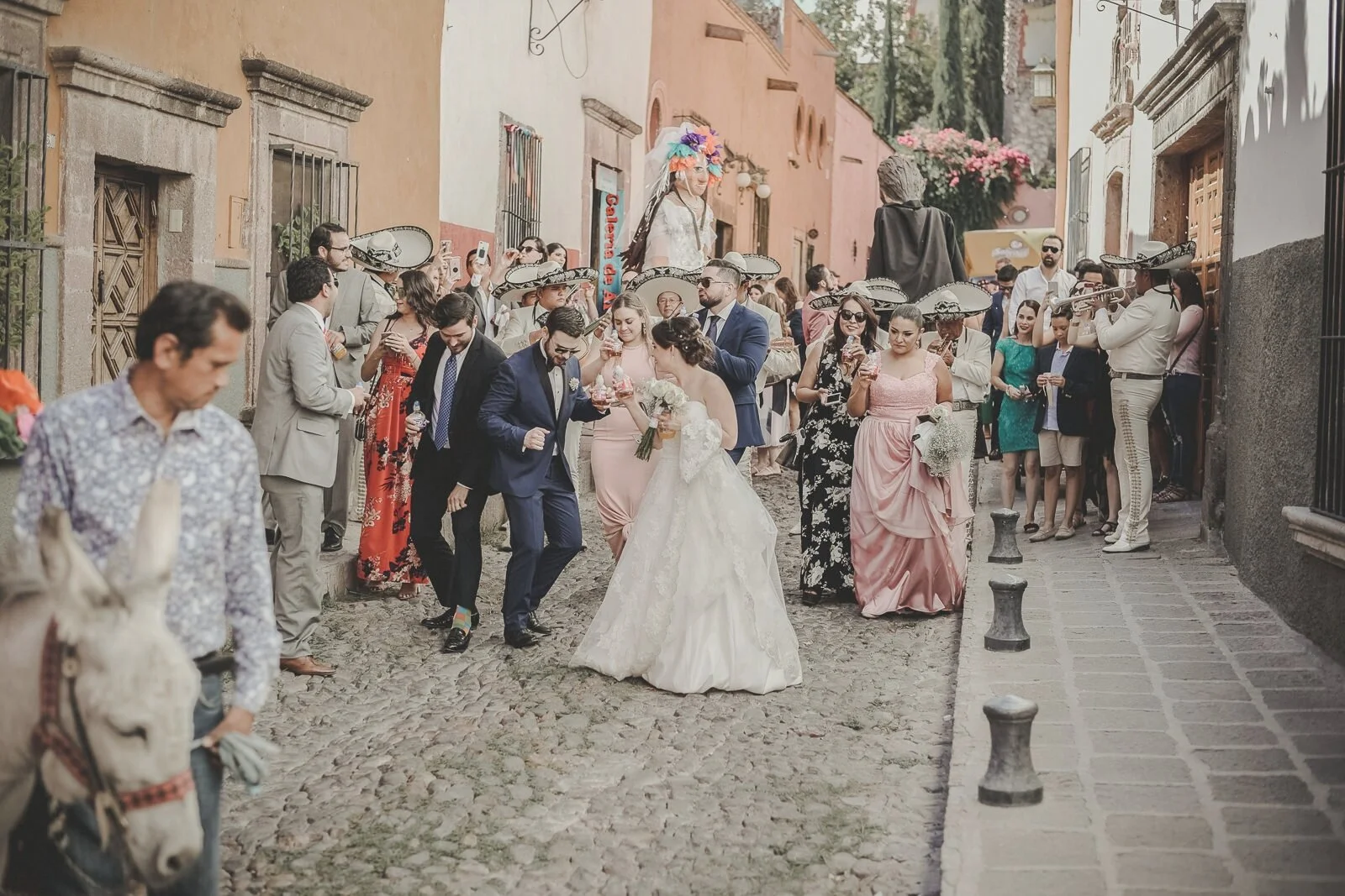 DC-sma-lr- (133 de 2107)-ASE.jpg