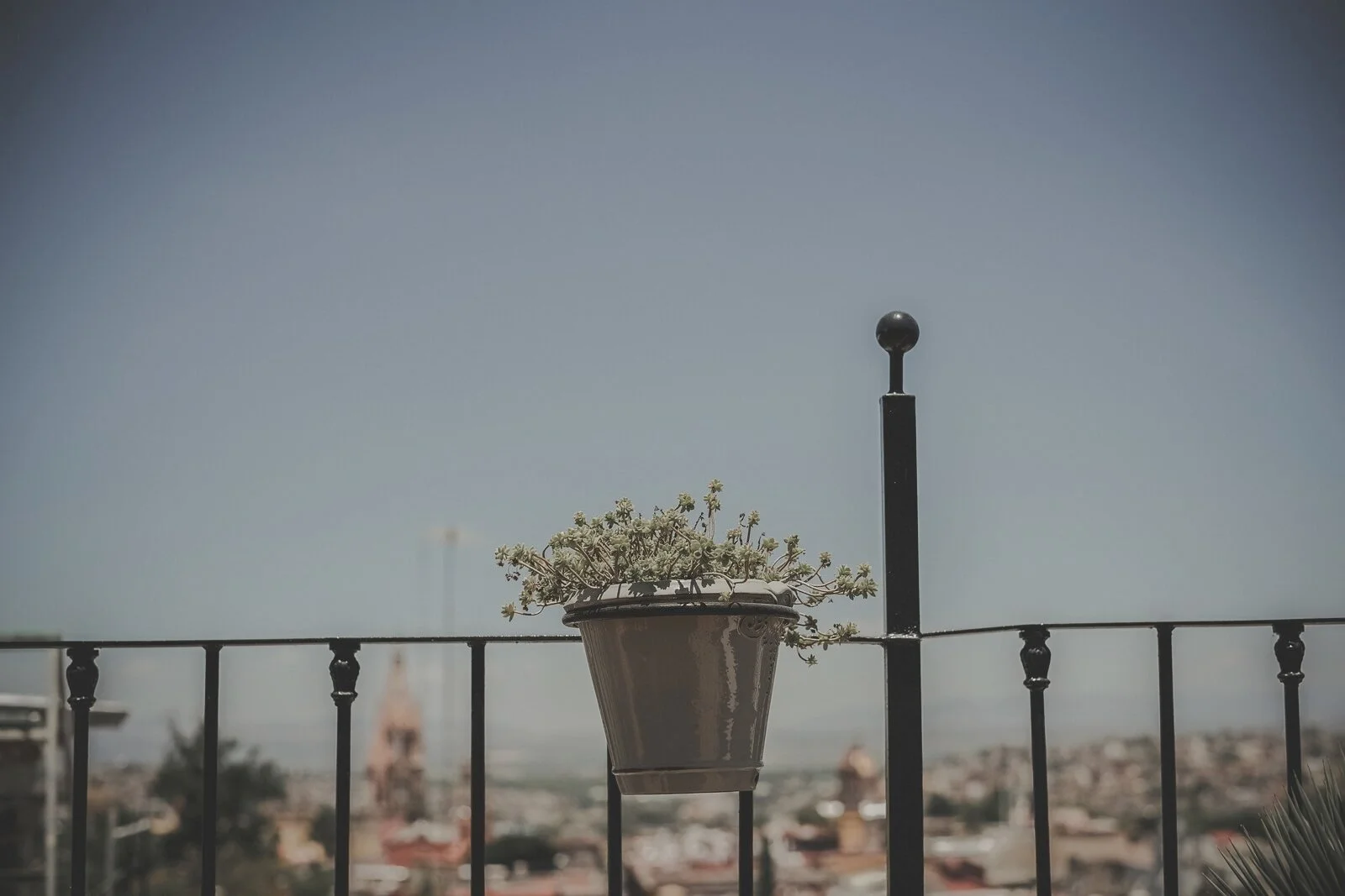 DC-sma-lr- (557 de 2107)-ASE.jpg