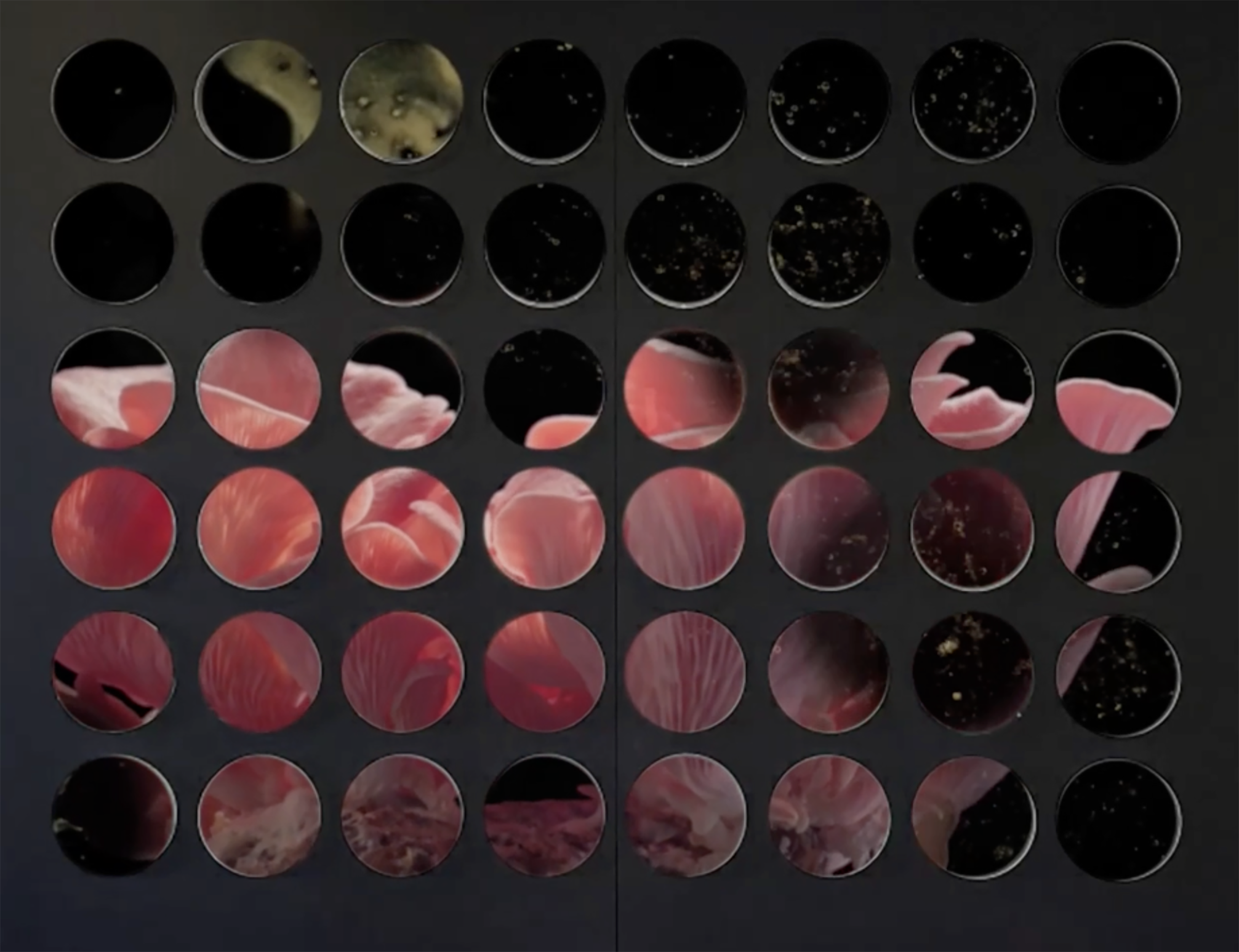 video_still_for mobile.png