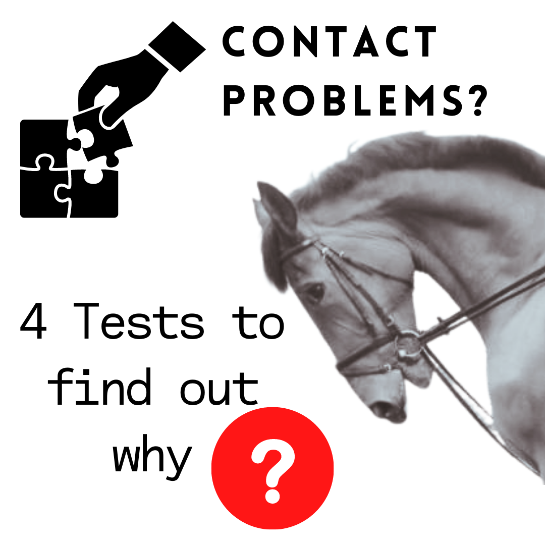 Solving Contact Issues in Horses — Calm Willing Confident Horses