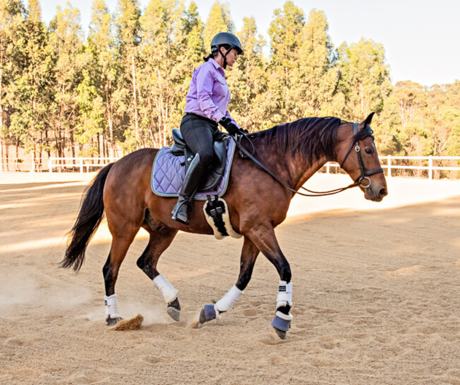 Society Membership — Calm Willing Confident Horses