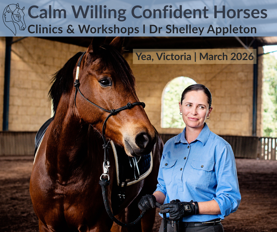 WORKSHOPS & CLINICS IN YEA, VICTORIA 2026 — Calm Willing Confident Horses