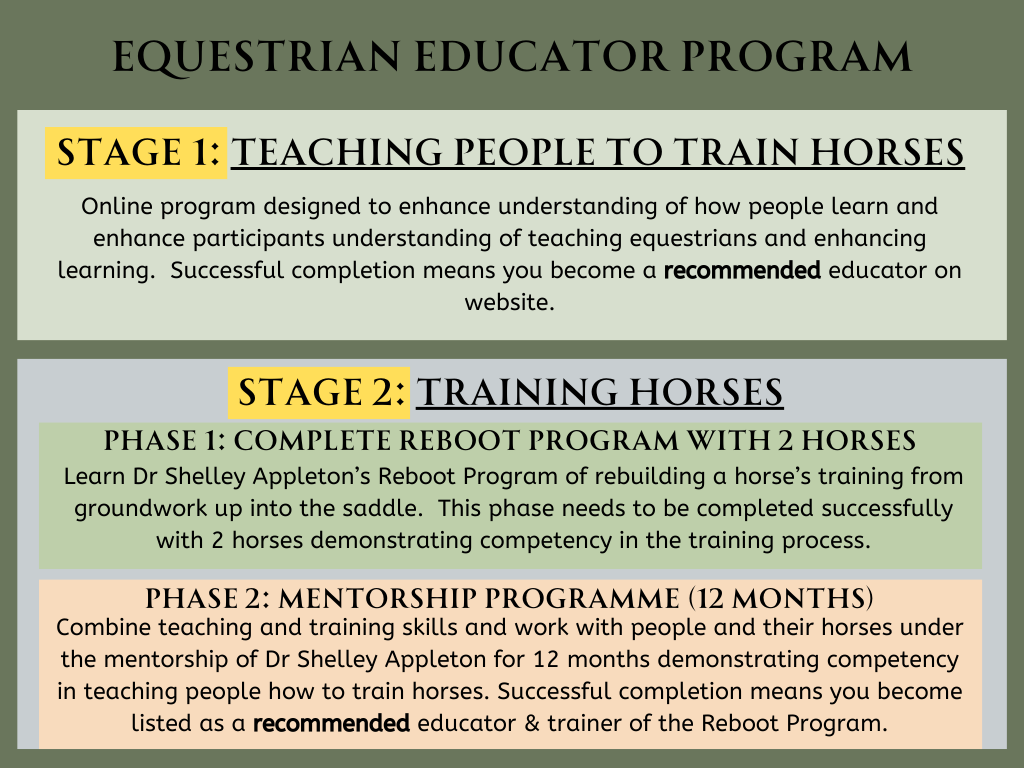 Equestrian Program Equestrian Educators — Calm Willing Confident Horses