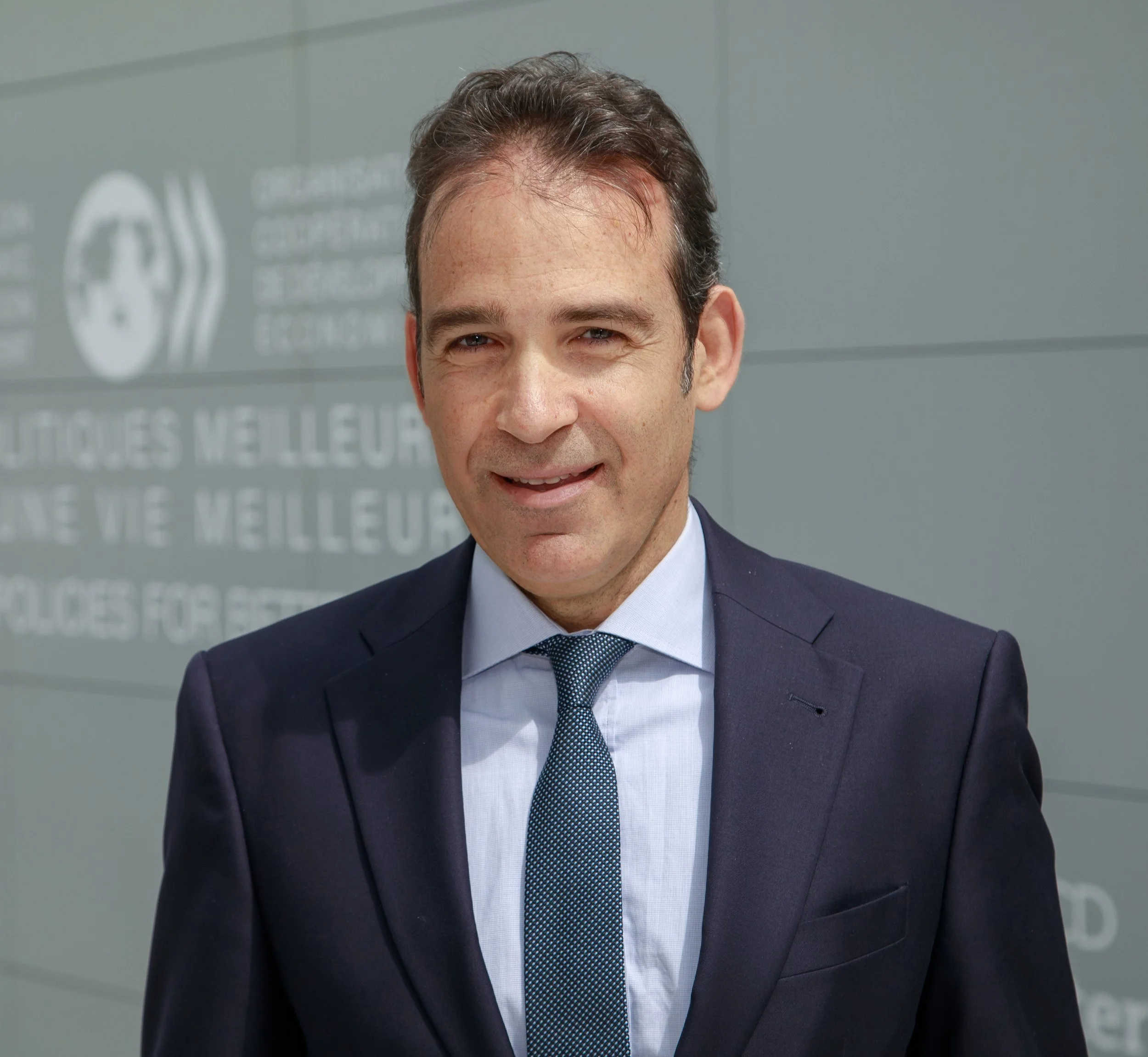  George Pagoulatos  Ambassador of Greece to the OECD