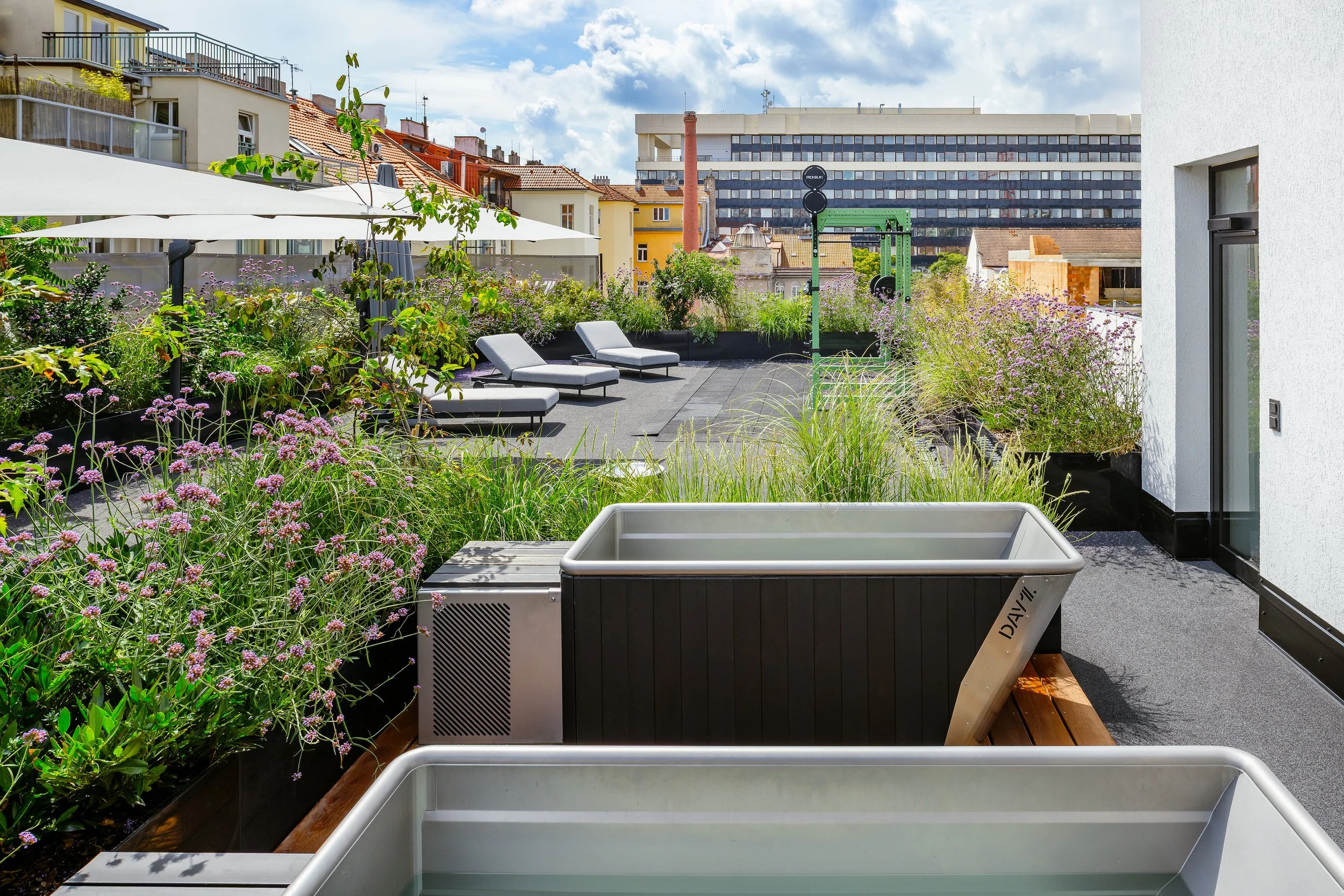 DAYONE_20250801_leto 3.JPG