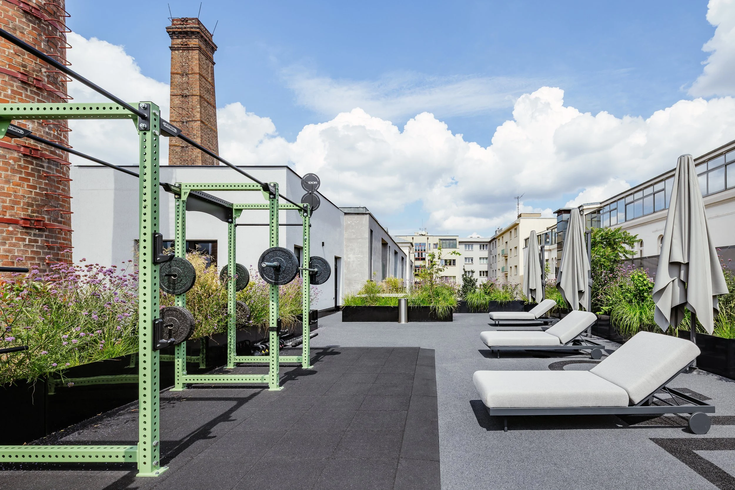 DAYONE_20250801_leto 4.JPG