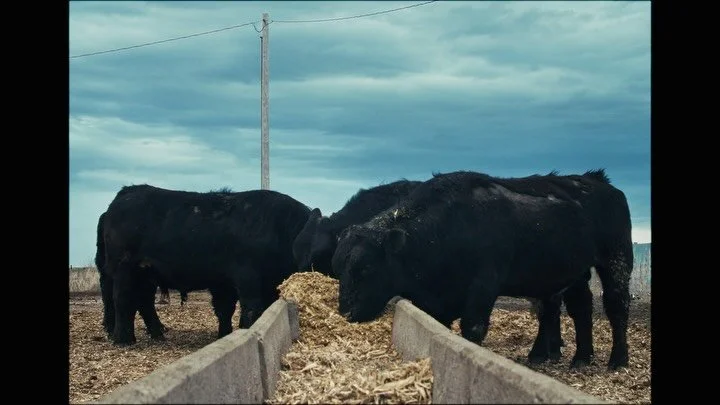 Postcards from Iowa (weekly edit n&deg;226)