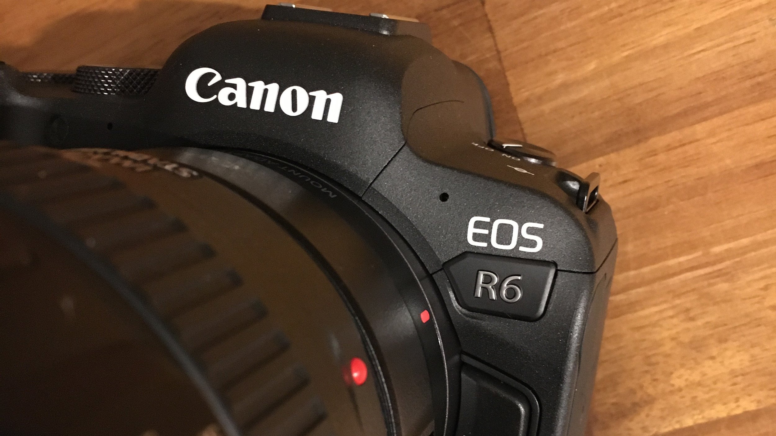 Canon EOS R6, an exceptional mirrorless camera for wildlife