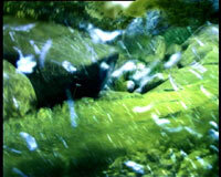 fall01.jpg