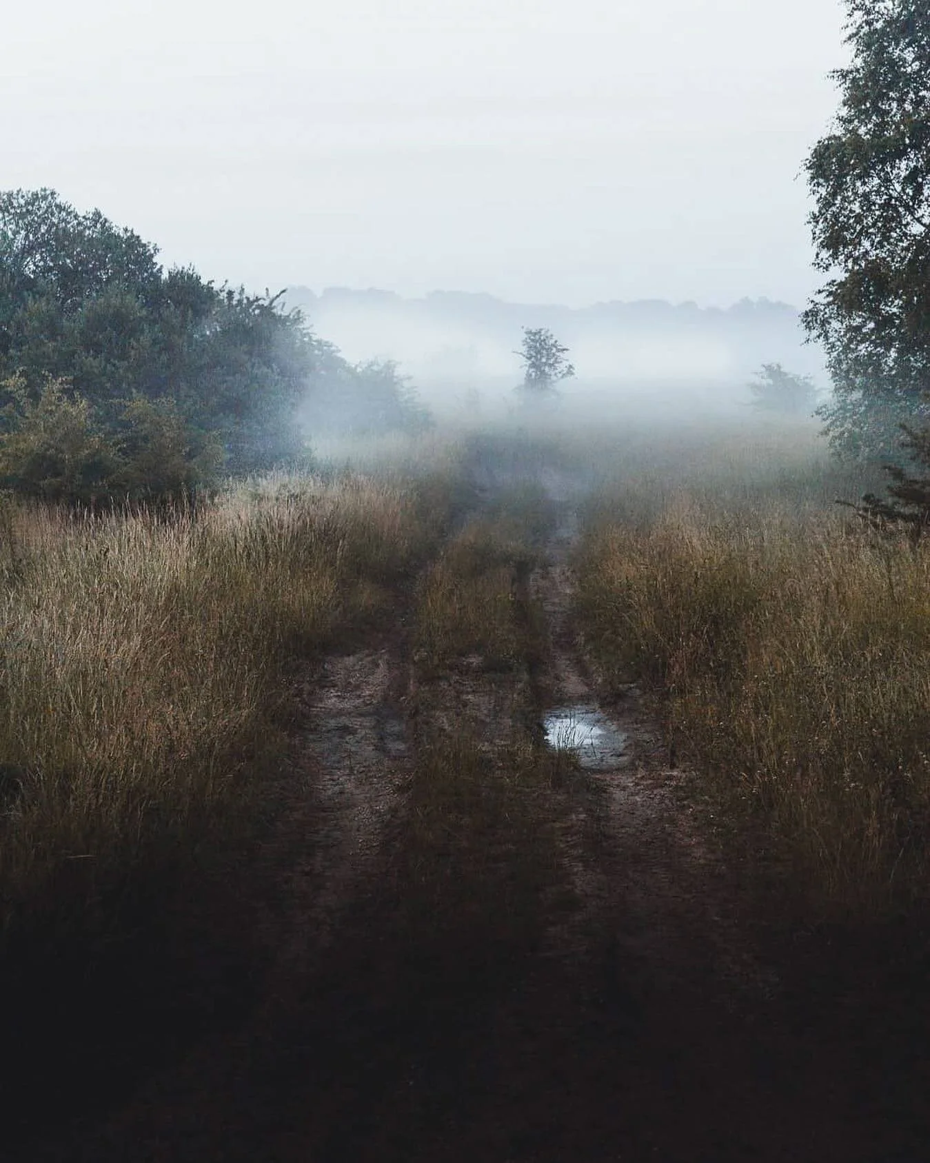 Photo by Gustav, 17, Denmark 🇩🇰

We can talk about rules and strategies and master all the theory there is, but it might still not be enough - in either photography or life itself. 

This thought is somehow both depressing and a relief. So what do 