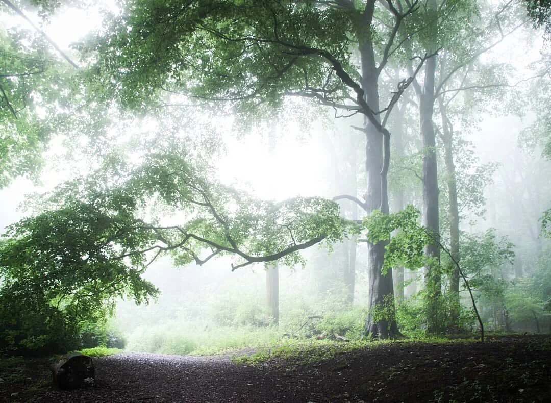 Islands of Nothingness