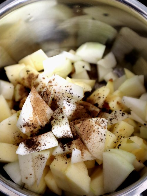 Zubereitung_Äpfel-Birnen-kochen.jpg