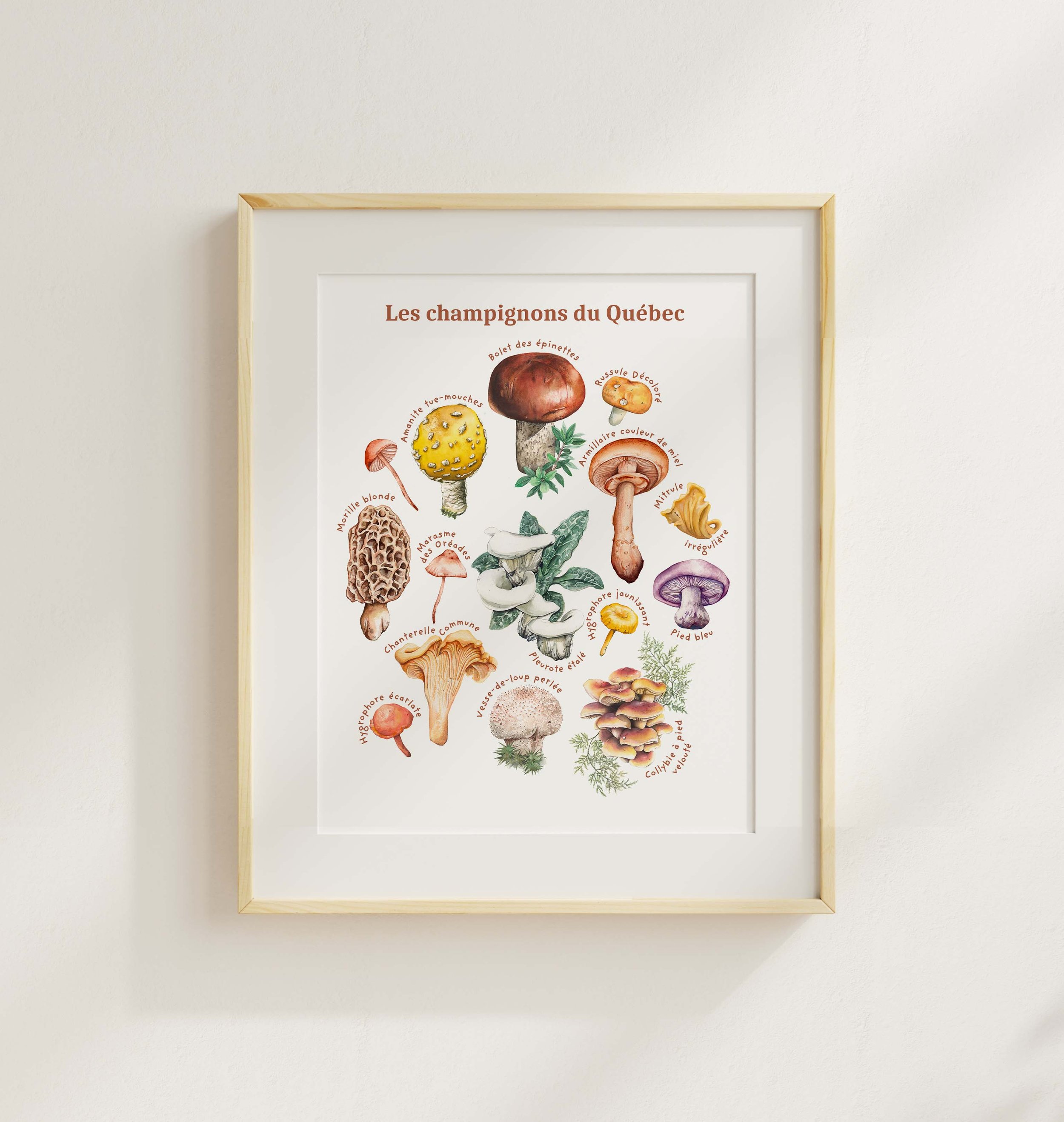 Champignons 8x10 SW.jpg