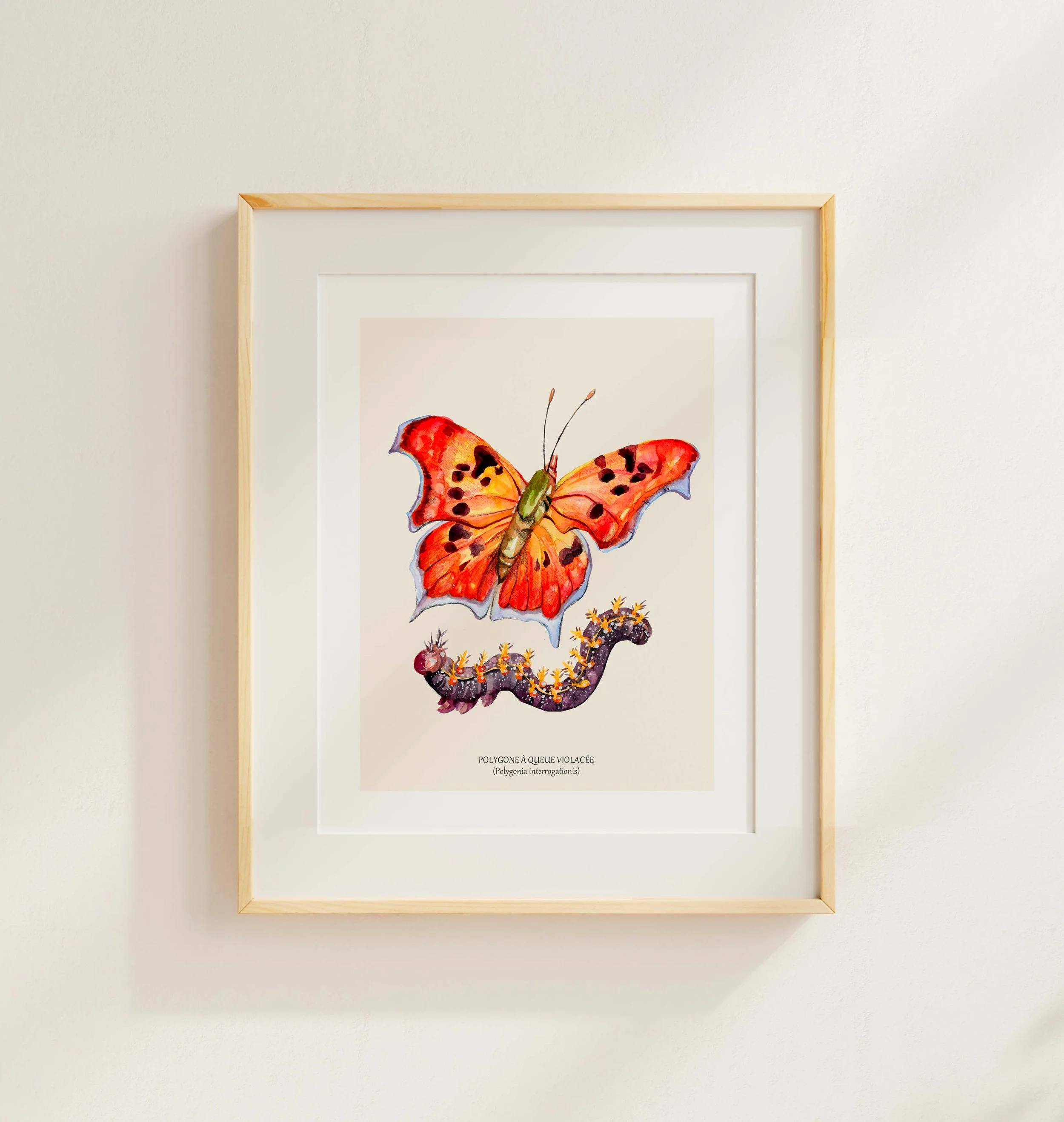 Papillon polygone cadre.jpg