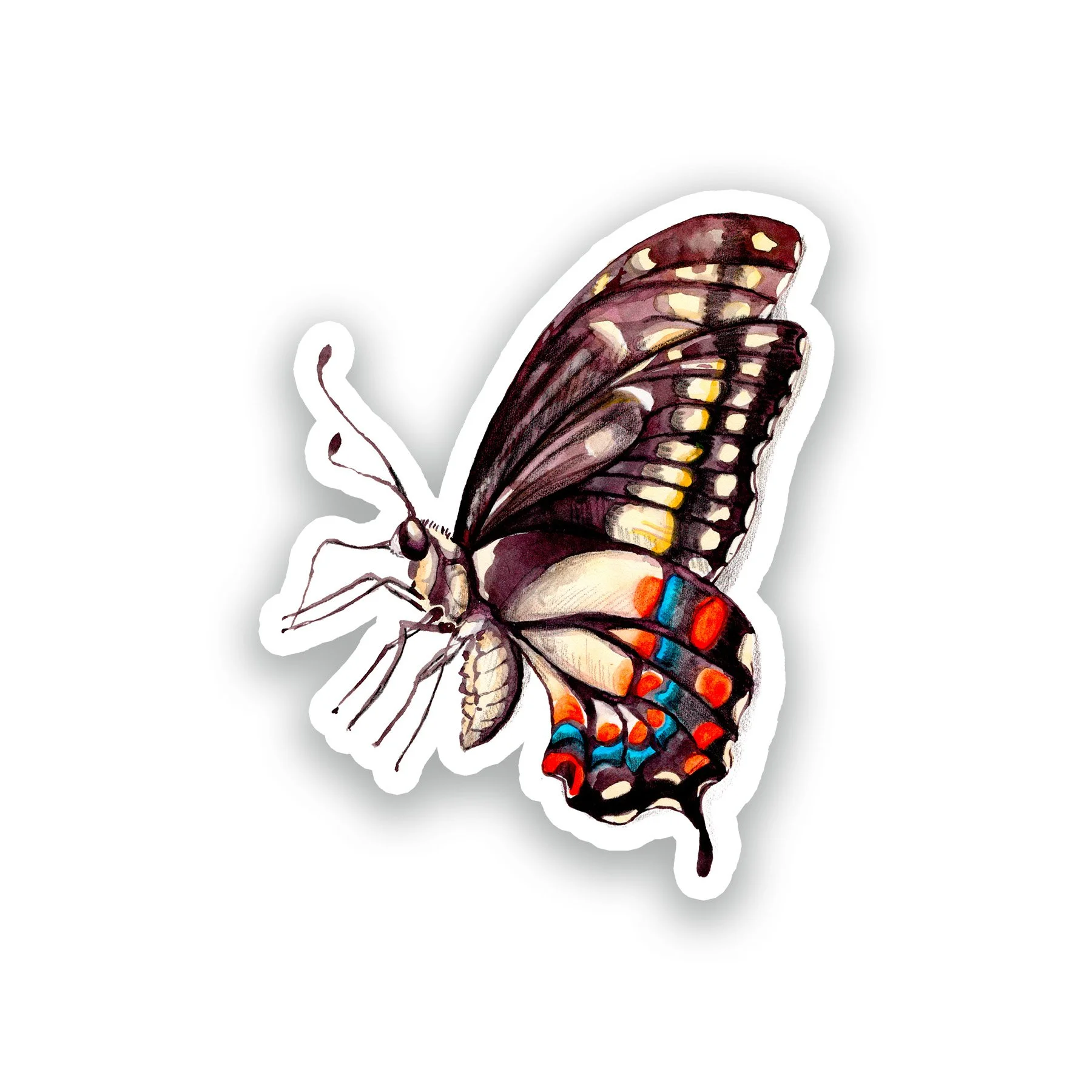 Papillon du céleri.jpg