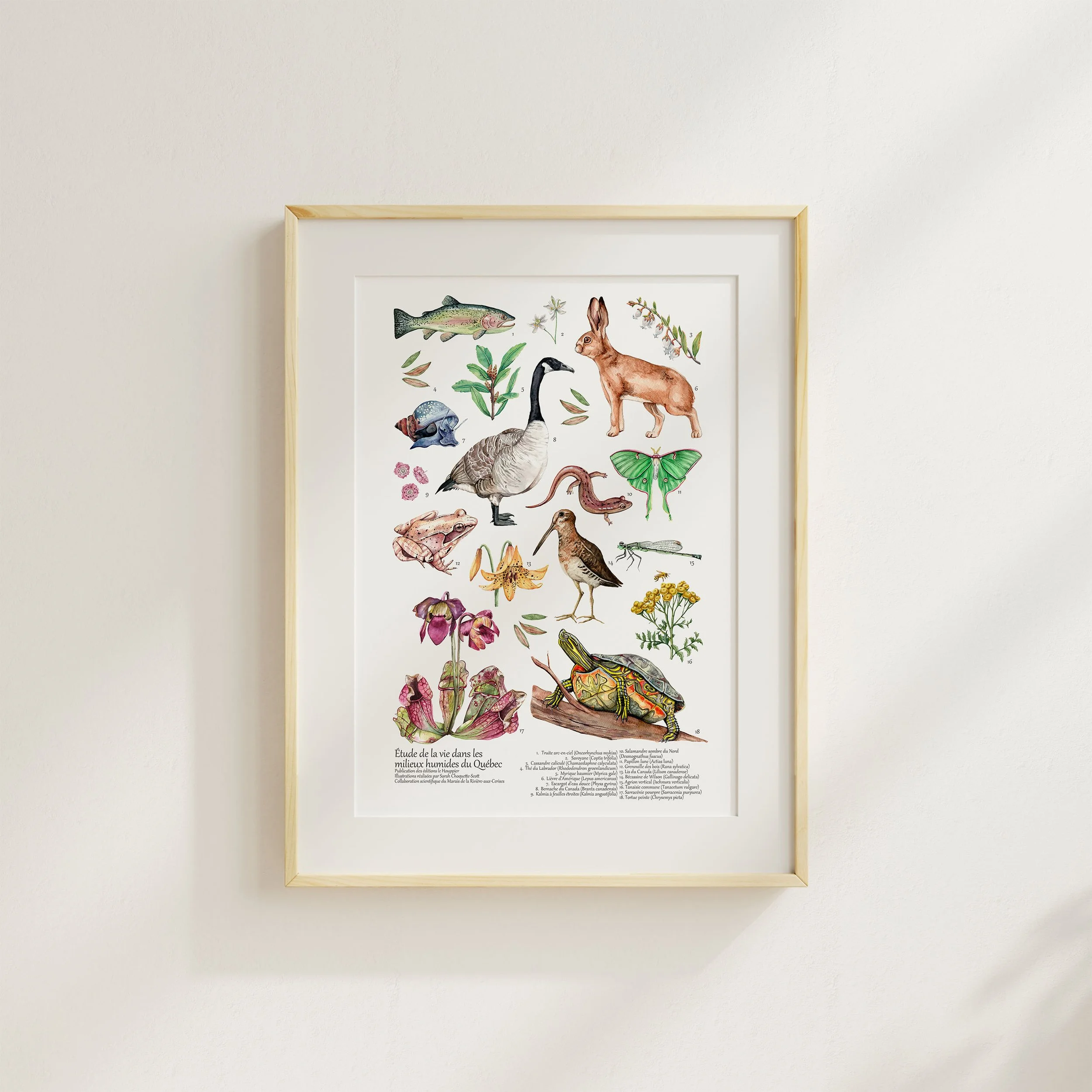 MOCKUP image SW affiche marais cadre fond neutre.jpg