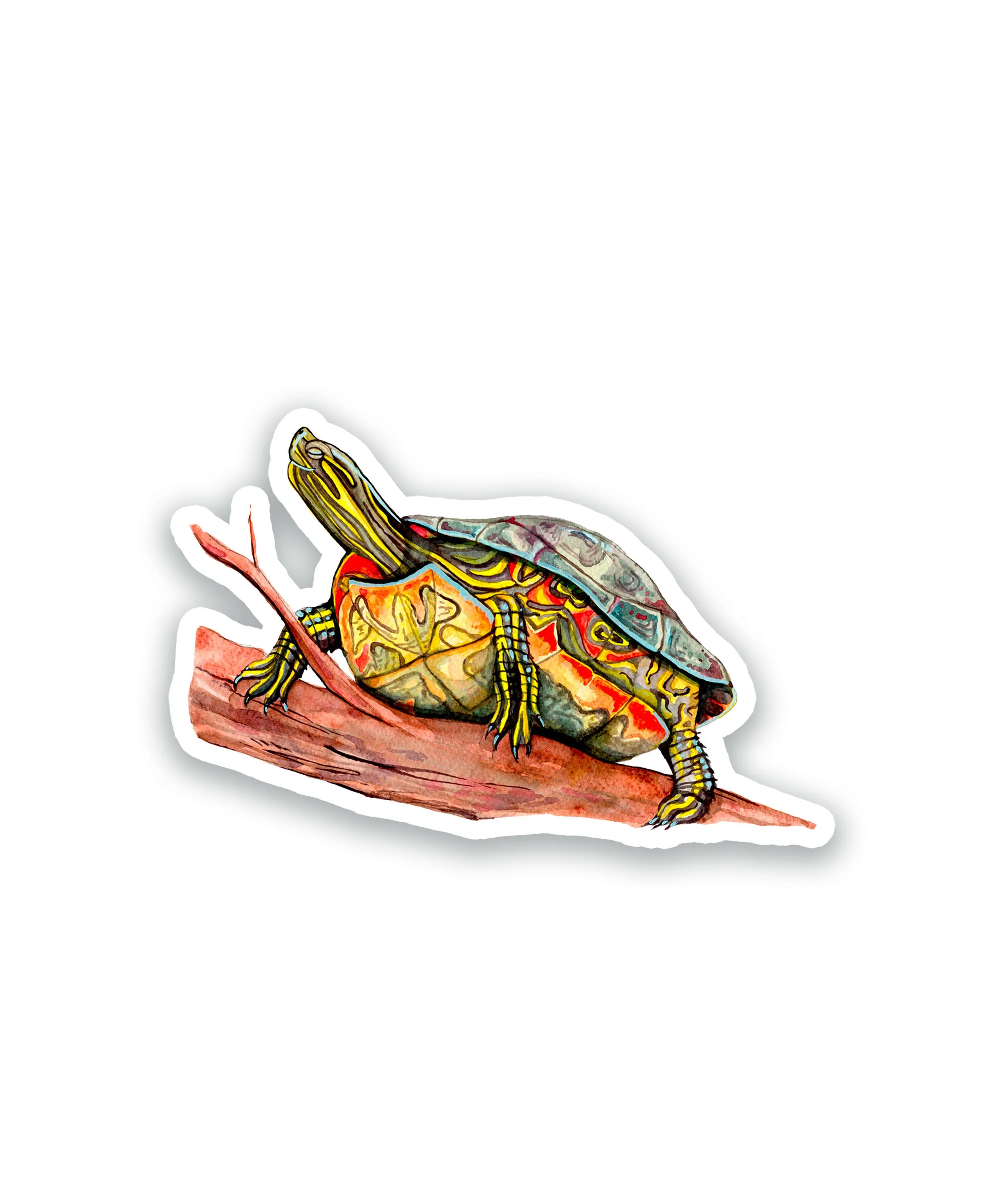 Tortue Peinte | Autocollant