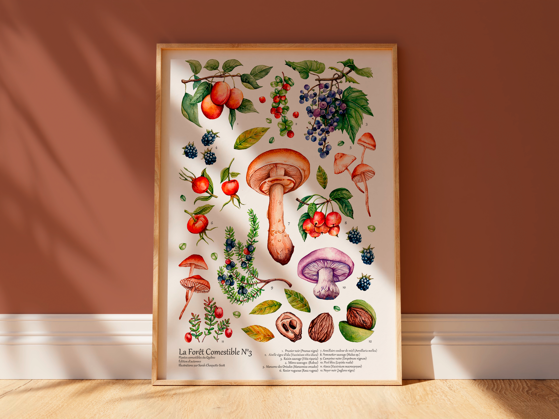 La Forêt Comestible | Édition Automne