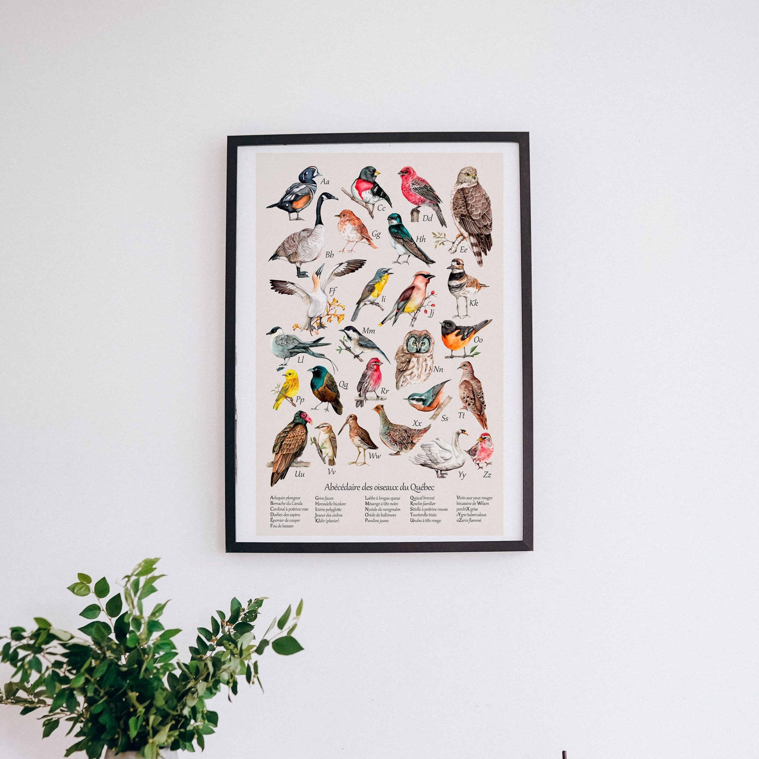 Mockup+ab%C3%A9c%C3%A9daire+oiseaux.jpg