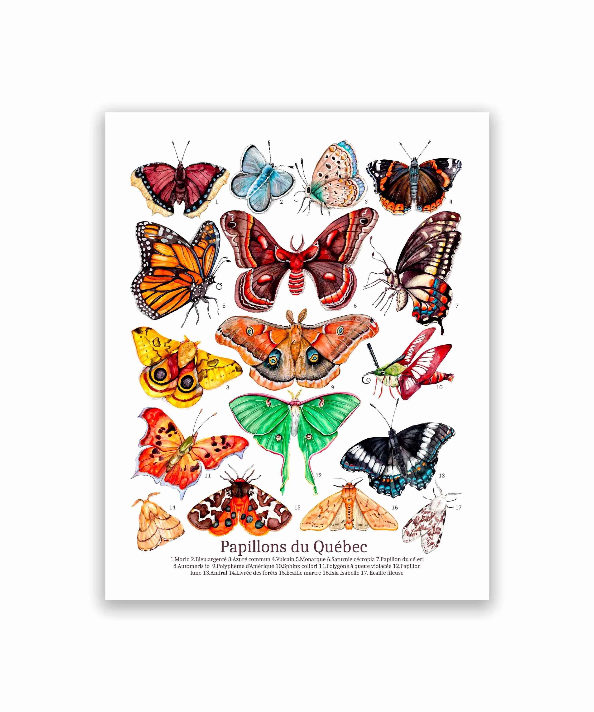 Mockup 11 x14 papillons.jpg