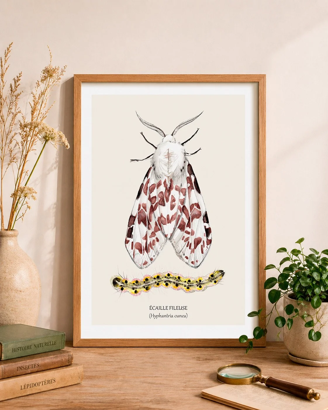 Papillon écaille fileuse cadre mockup.jpg