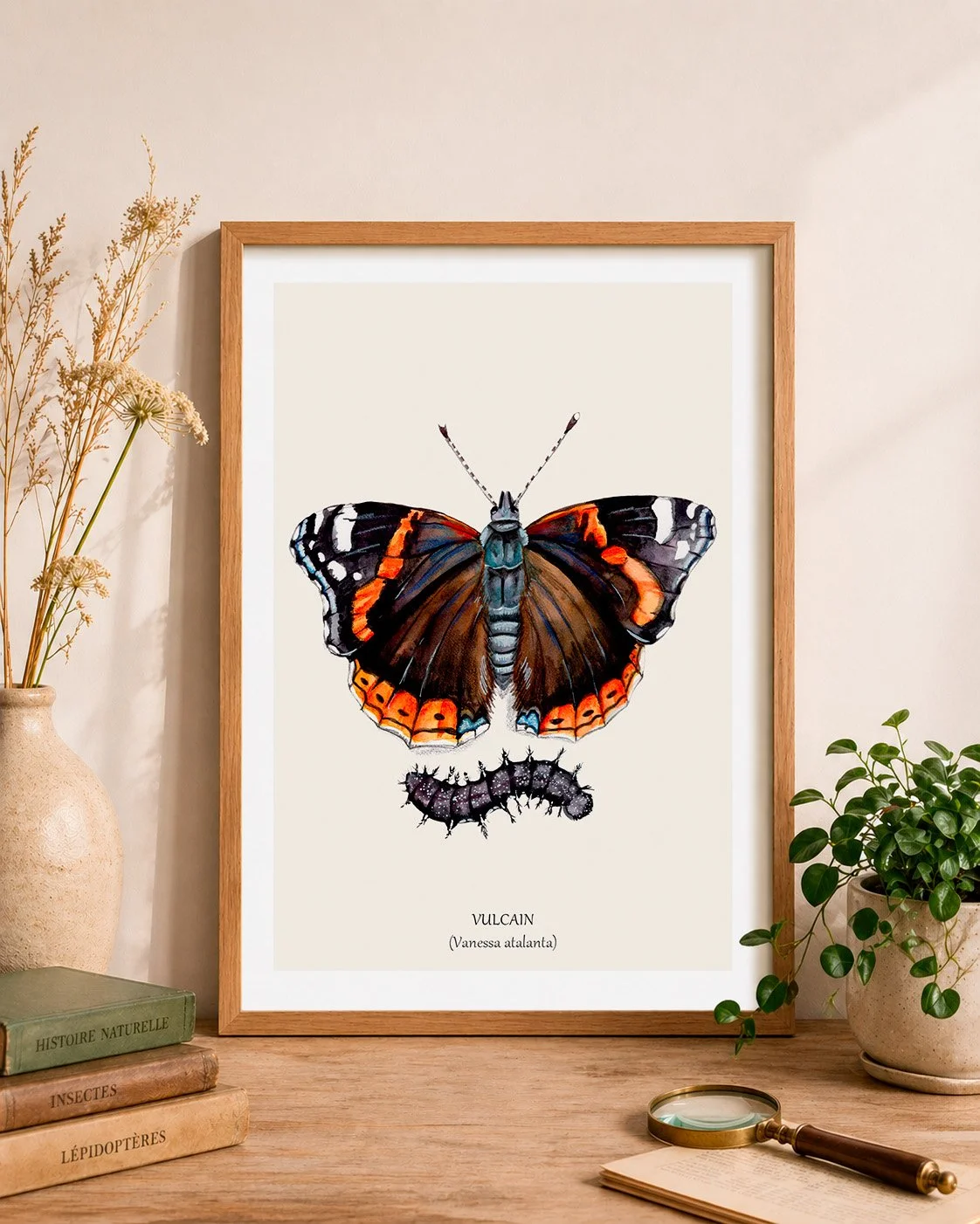 Papillon vulcain cadre mockup.jpg
