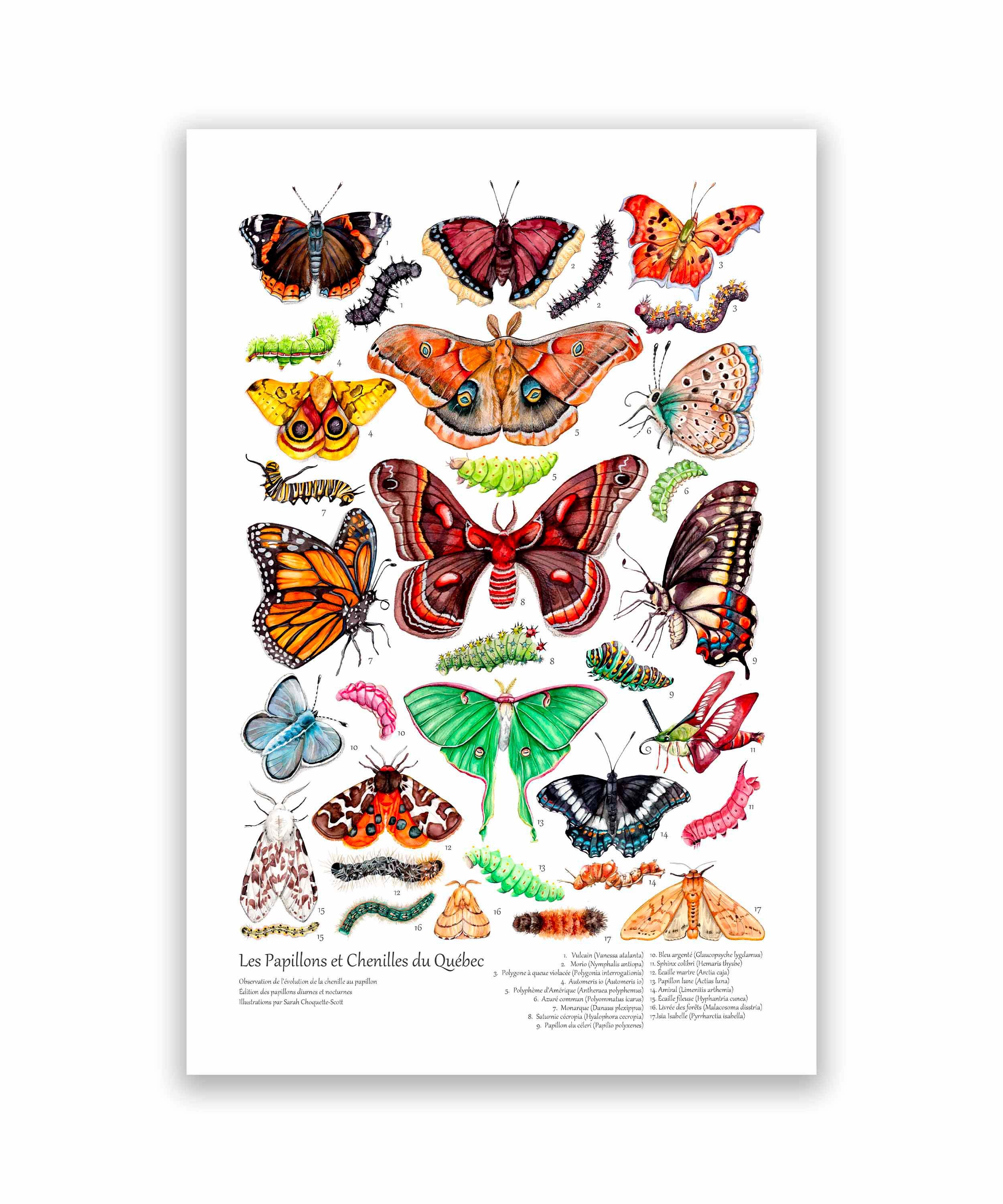 Mockup fond blanc.jpg