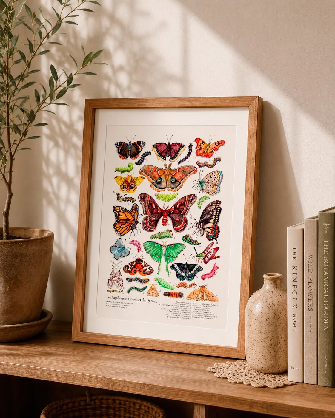 Mockup cadre et livres chenilles et papillons.jpg