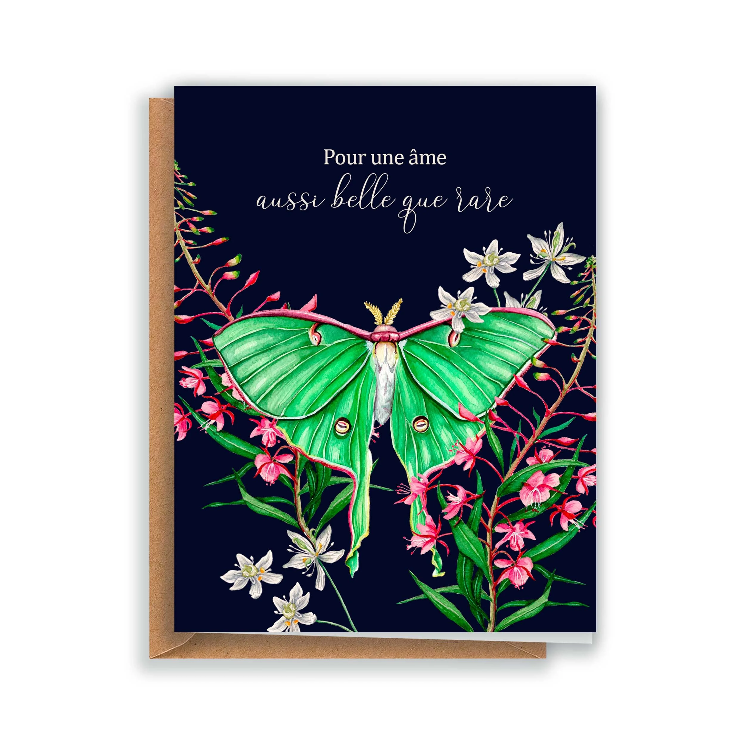 Carte de souhait papillon lune.jpg