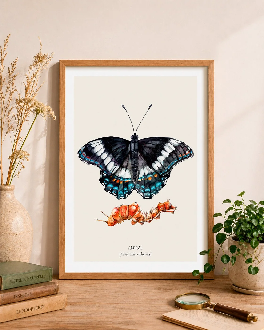 Papillon amiral cadre mockup.jpg
