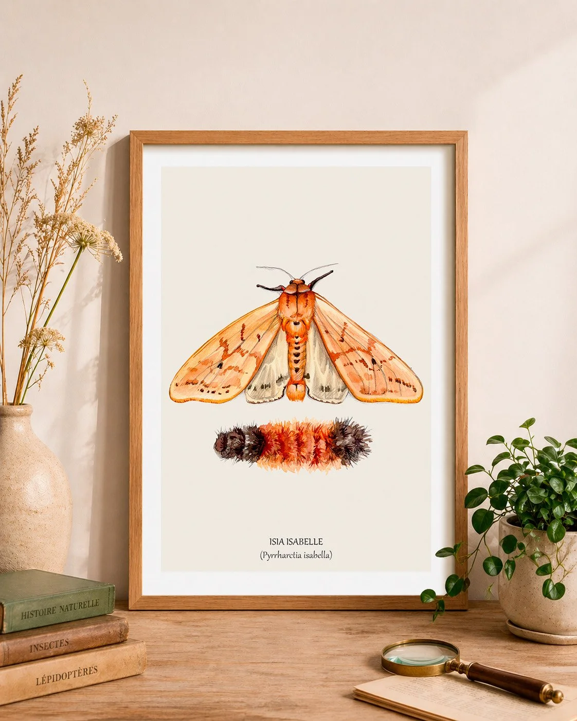 Papillon isia isabelle cadre mockup.jpg