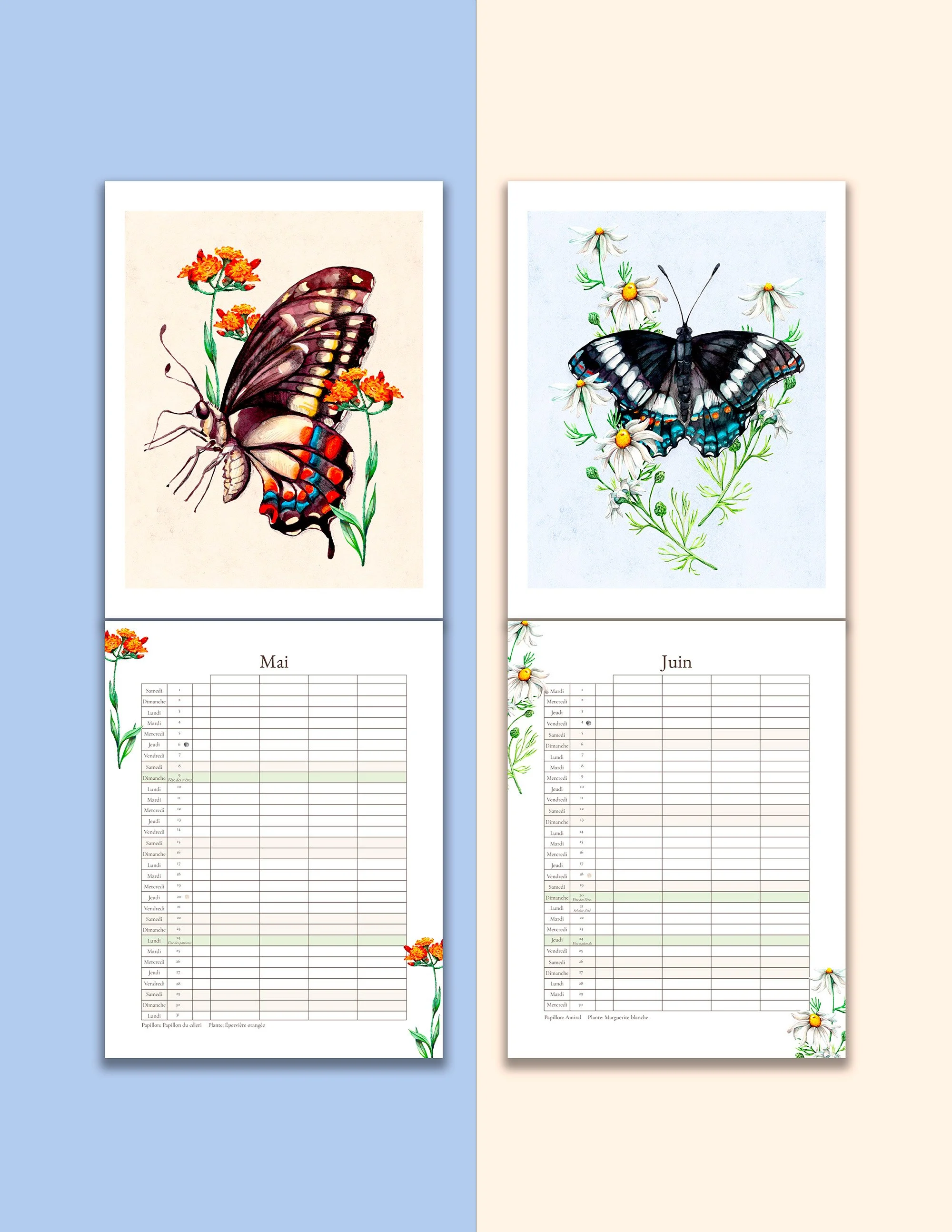 Mockup calendrier 2027 mai et juin.jpg