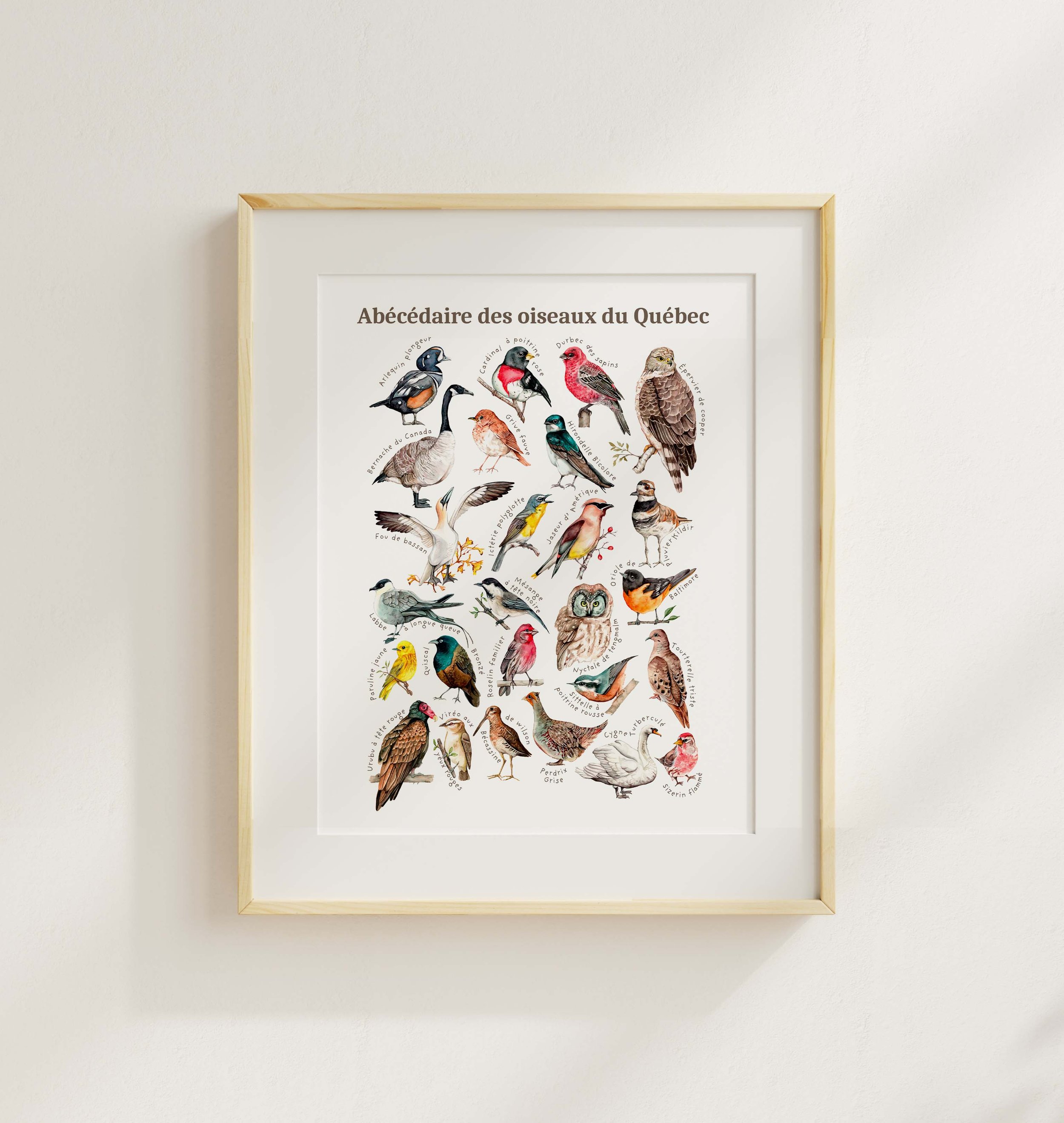ABC oiseaux 8x10 SW.jpg