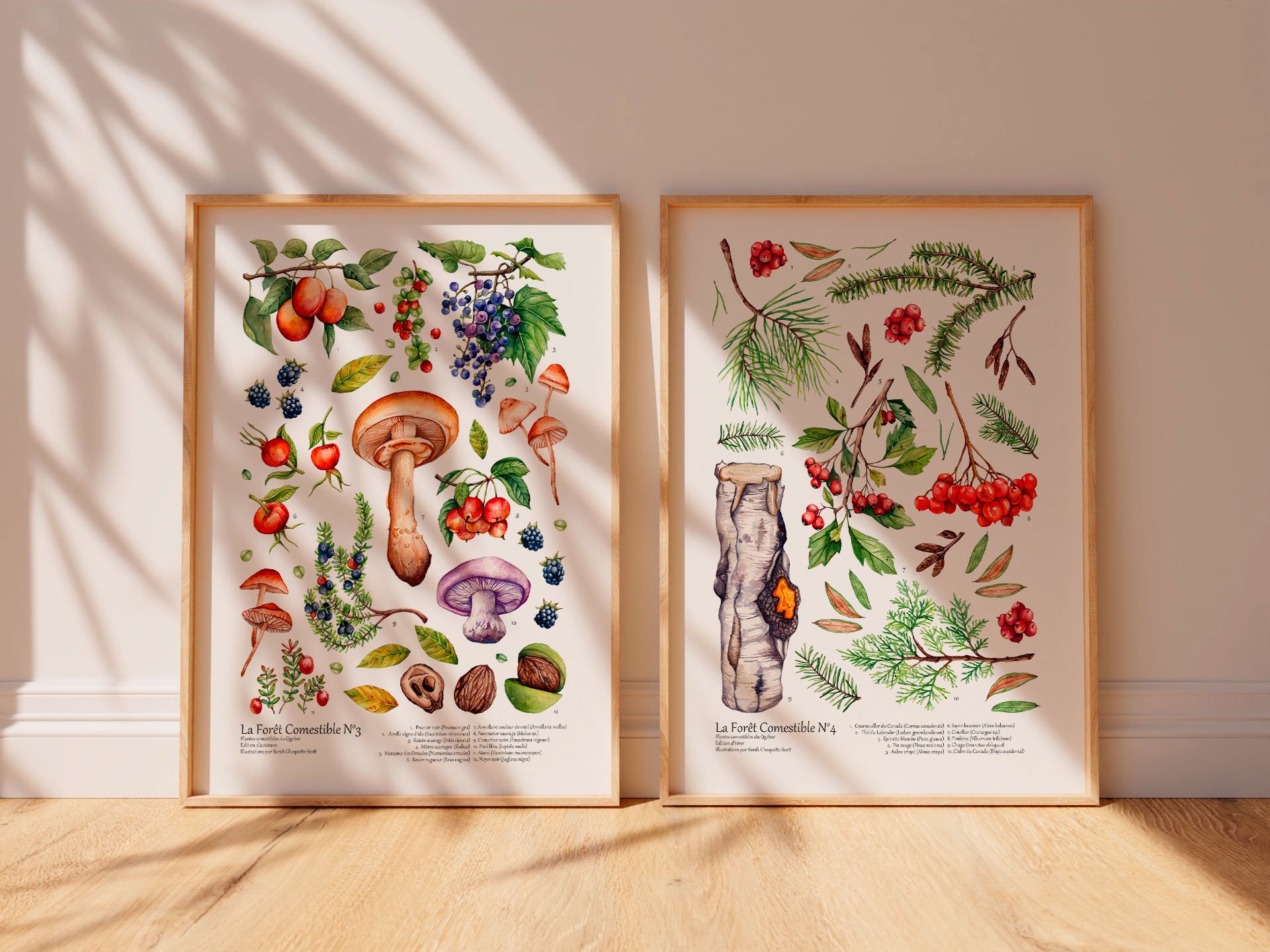 mockup automne hiver.jpg
