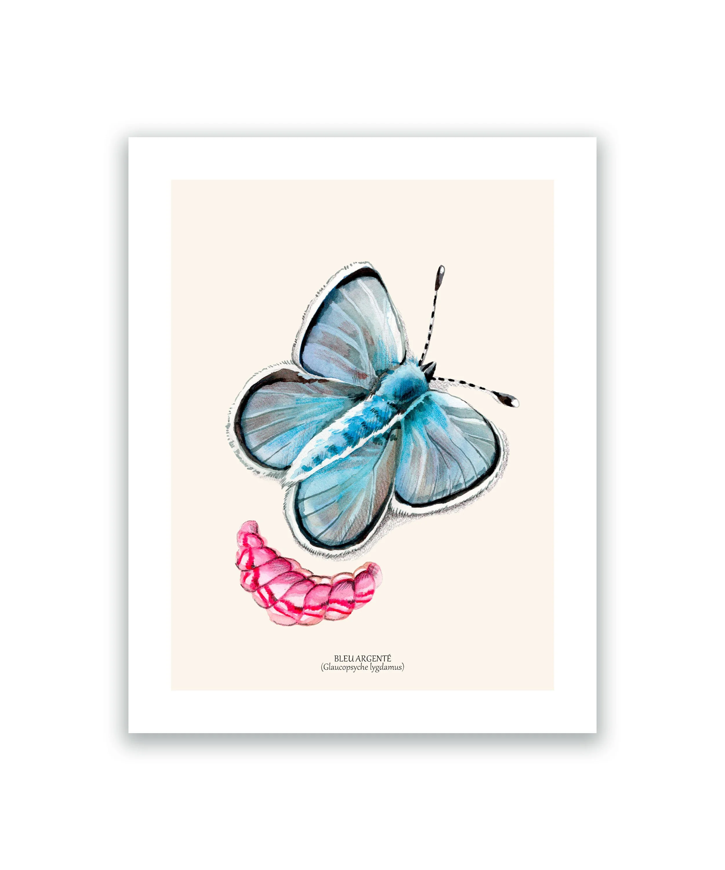 Papillon bleu argenté cadre mockup blanc.jpg