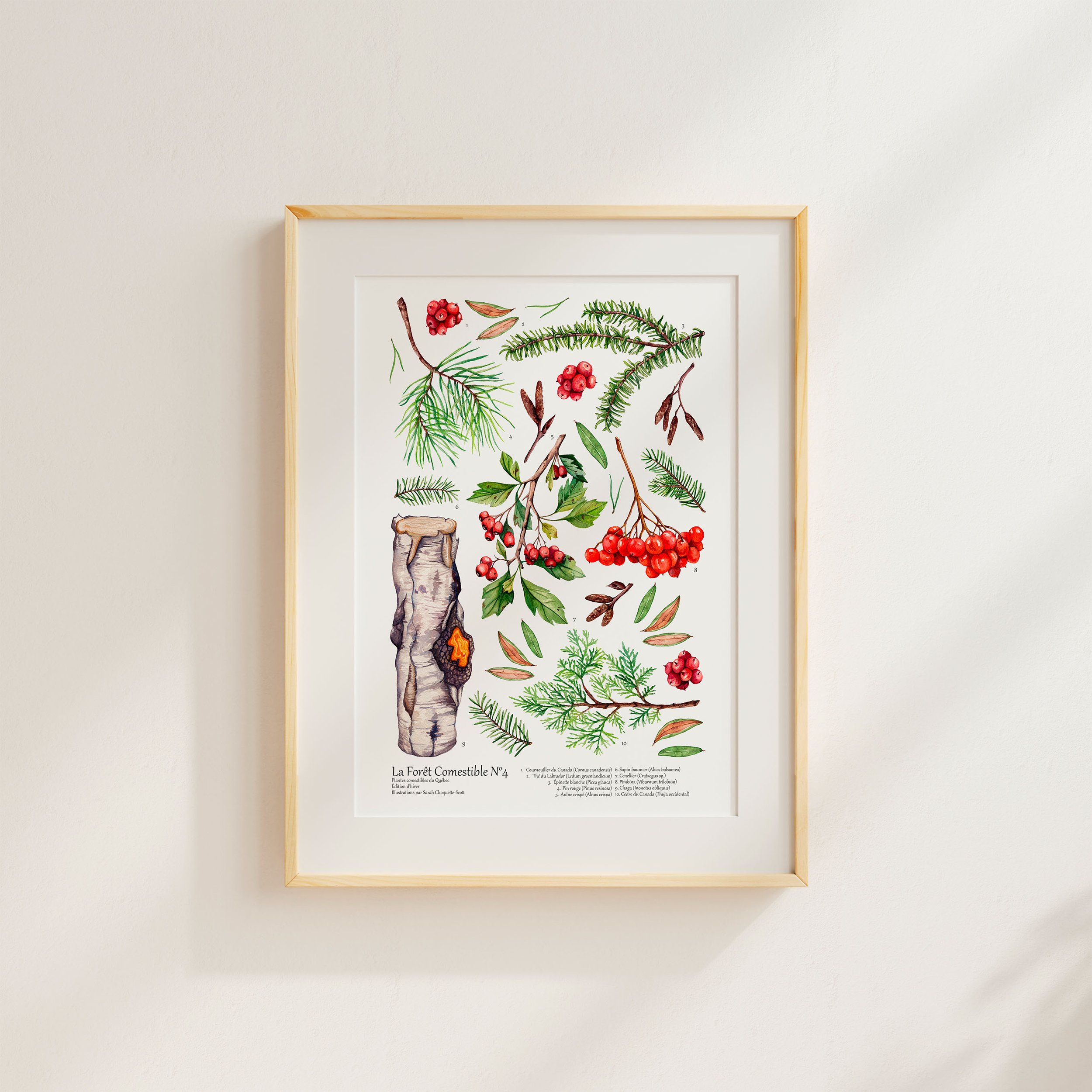 Mockup cadre hiver comestible.jpg