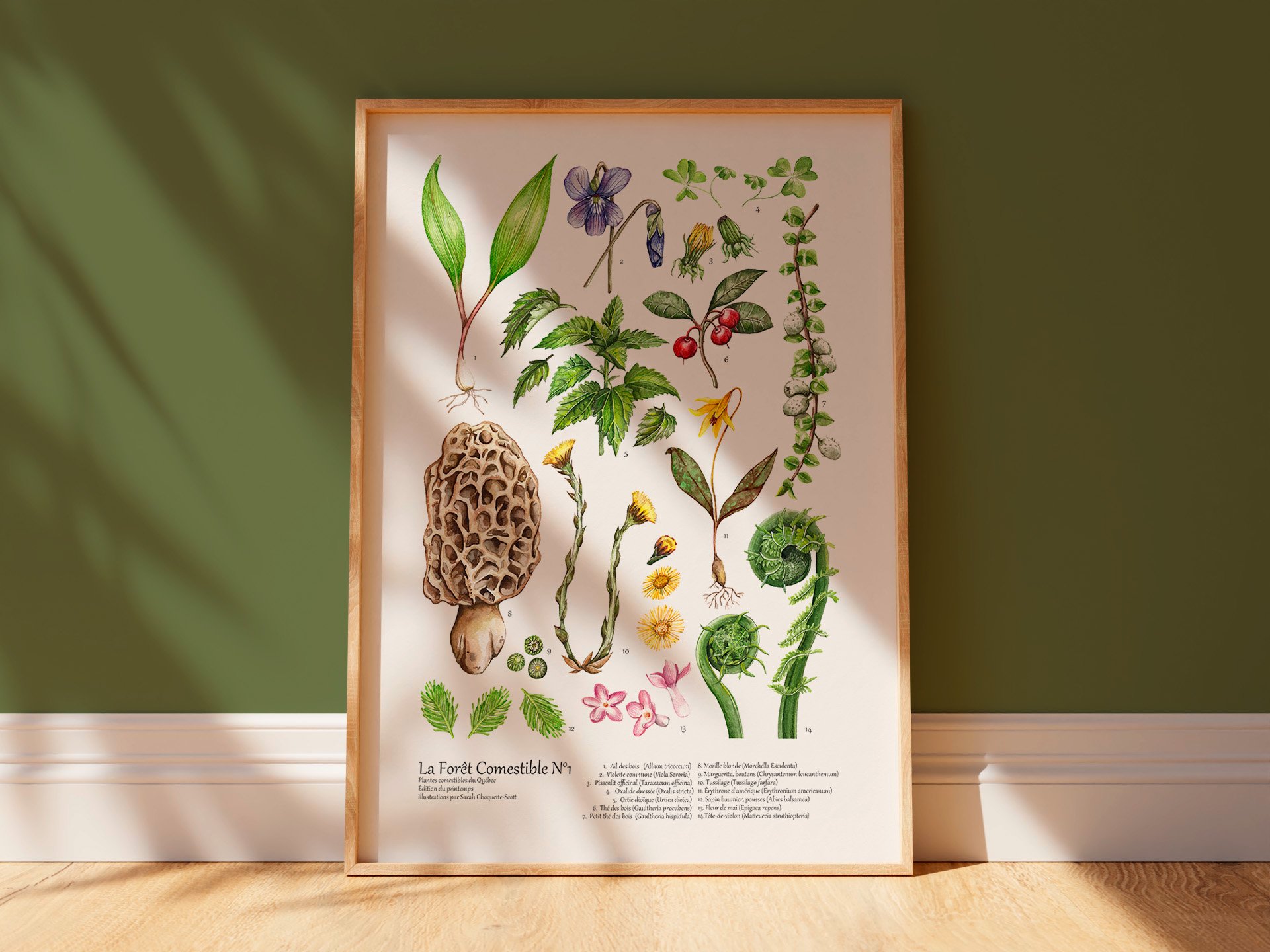 La Forêt Comestible | Édition Printemps