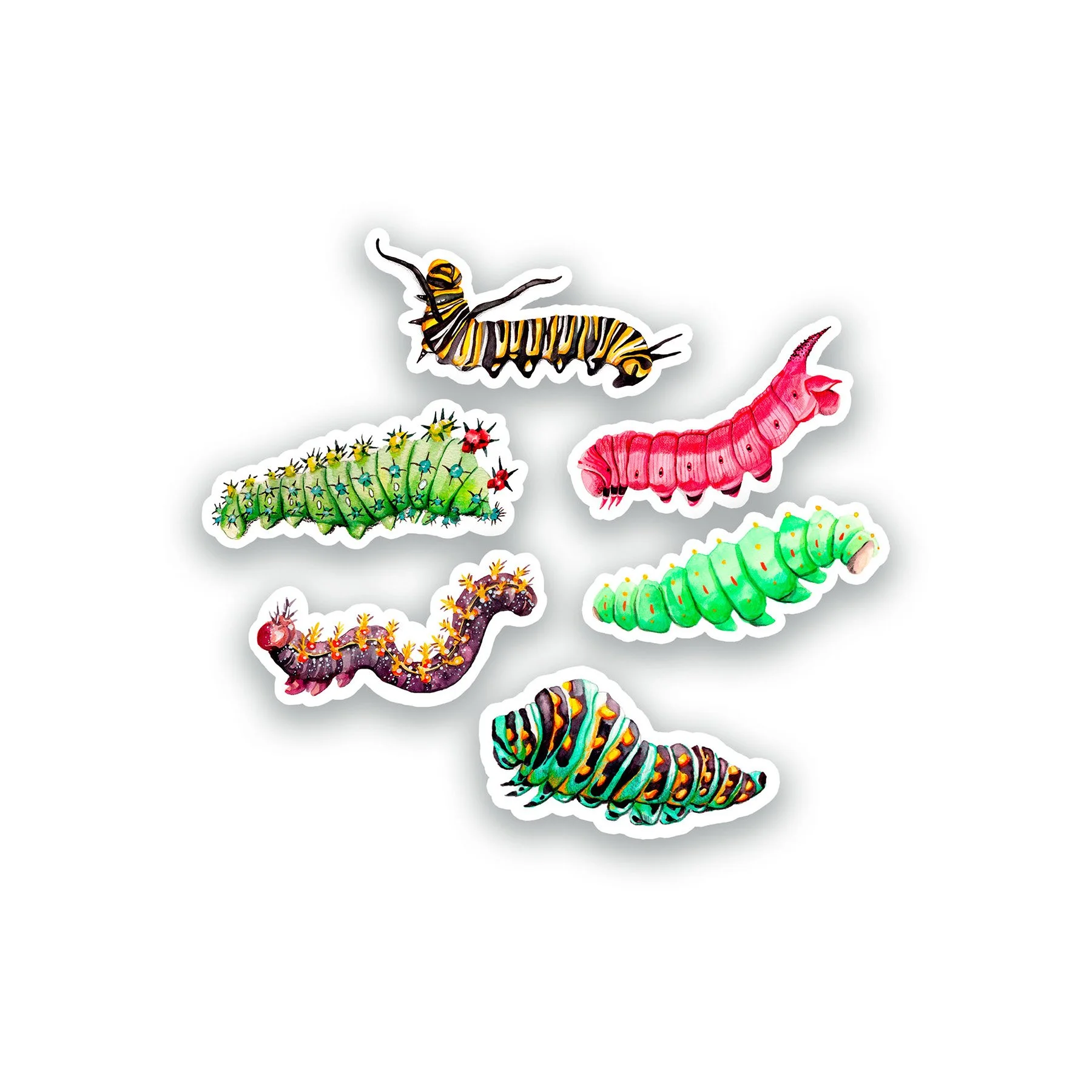 Autocollant chenilles.jpg