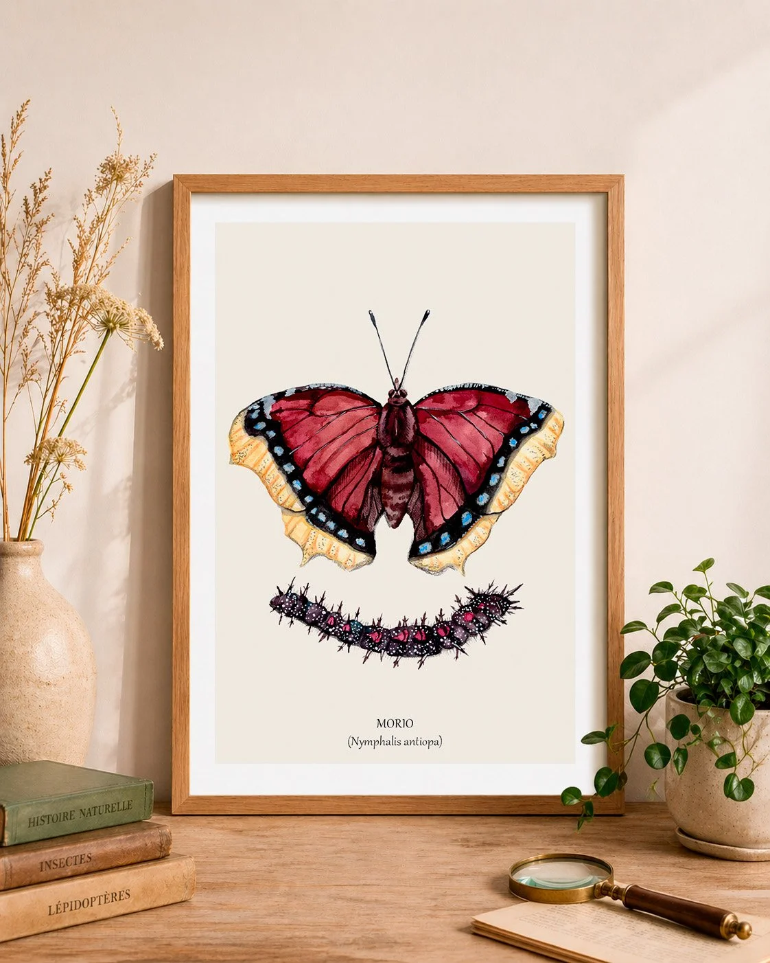 Papillon morio cadre mockup.jpg