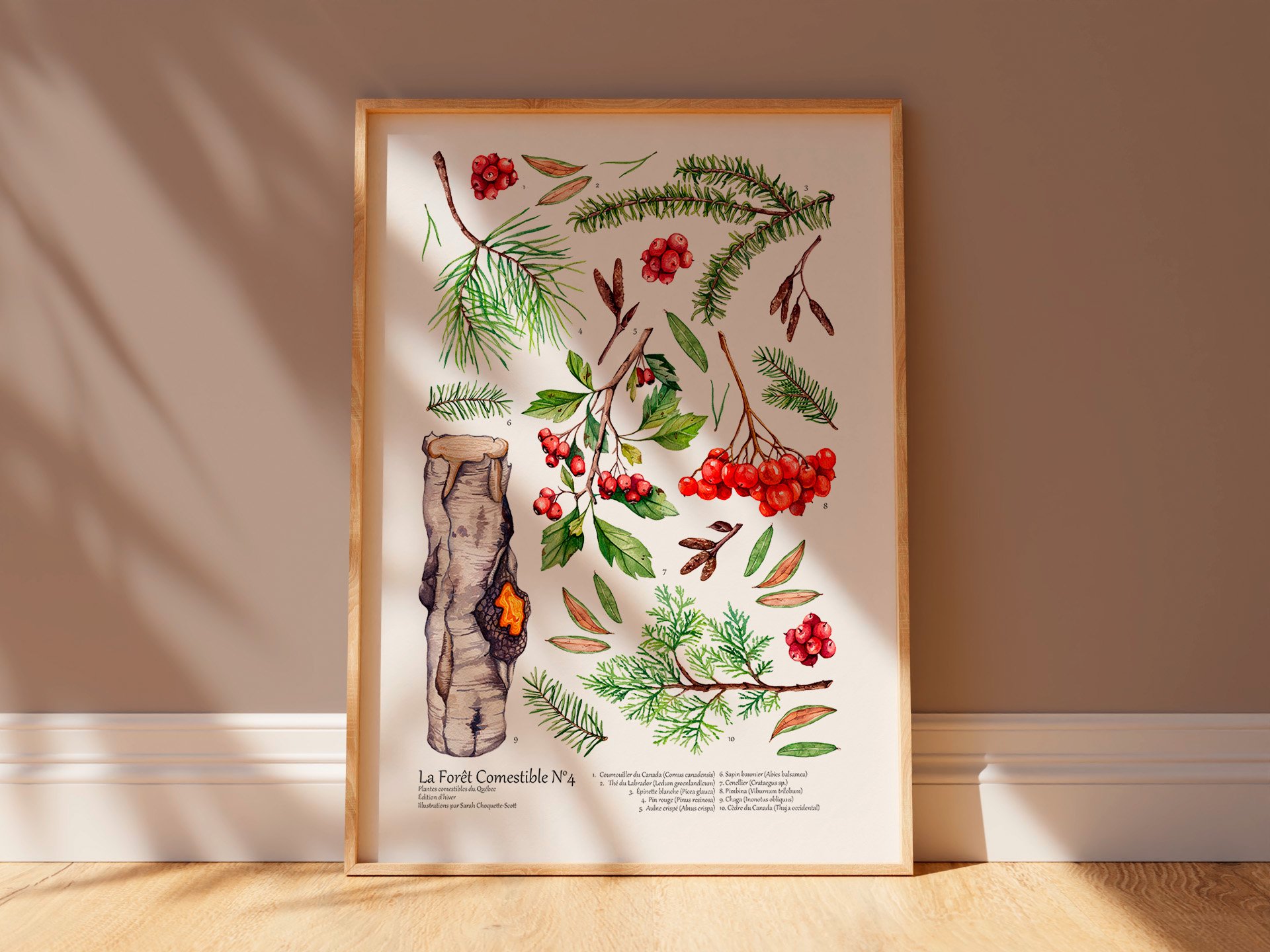 La Forêt Comestible | Édition Hivernale